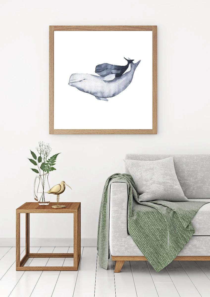 Beluga Whale Family Watercolor juliste