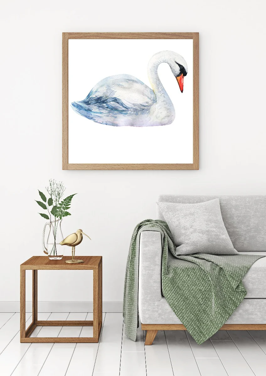Swan Solo Watercolor