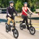Folding Electric Bicycle with 500W Brushless Motor and Dual Disk Brakes