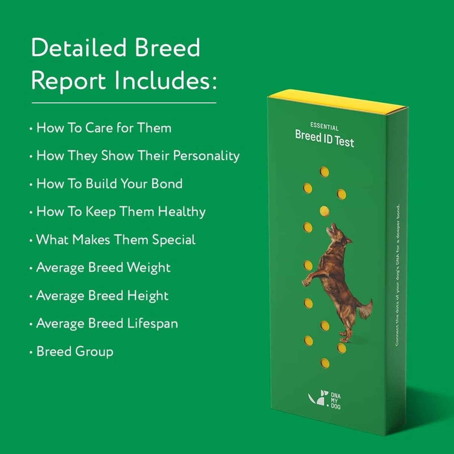 Dna My Dog Essential Breed ID Test – Accurate Mixed Breed Identification & Personality Insights with Easy Cheek Swab