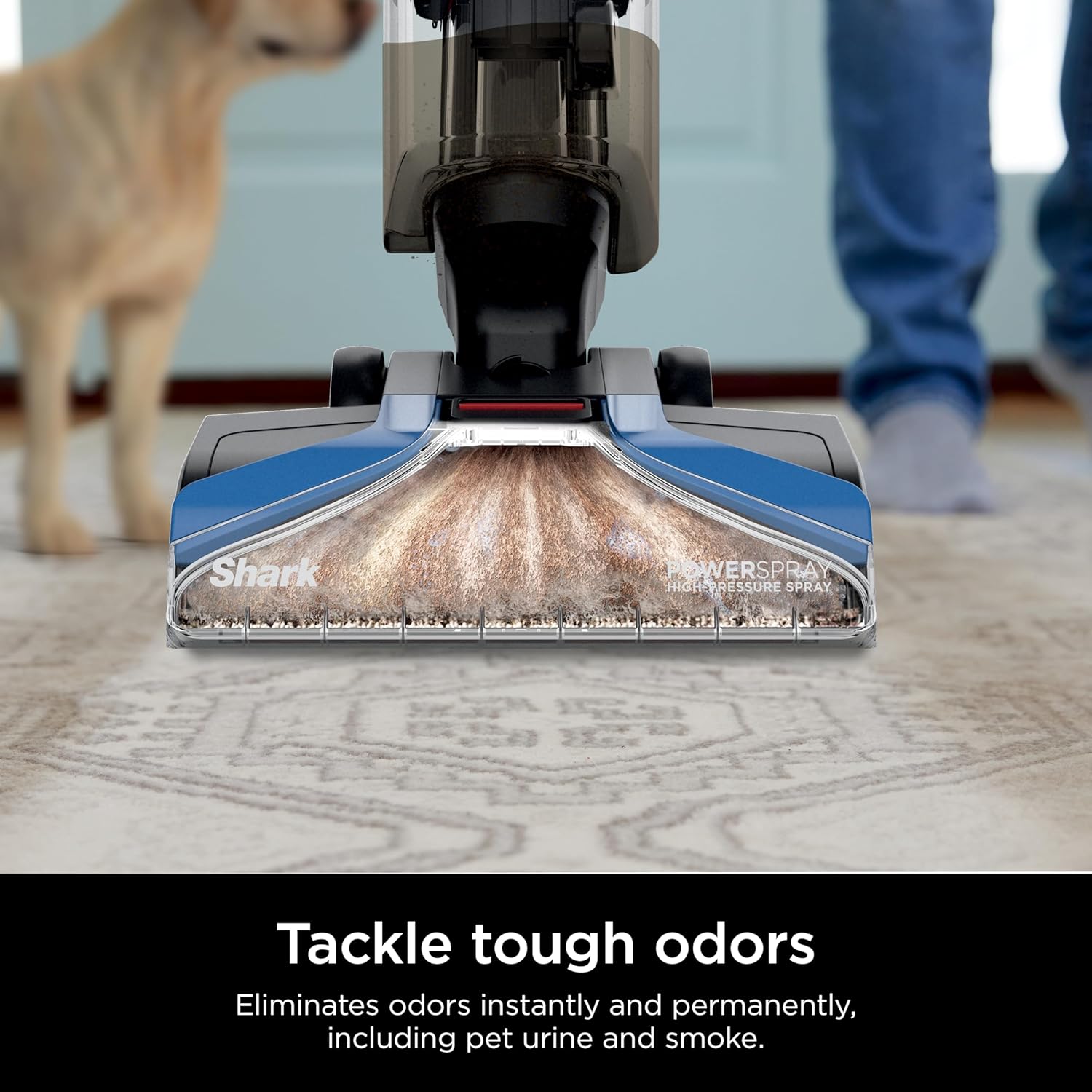 Shark CarpetXpert EX201 Carpet Cleaner, Cyan  C Deep Cleaning with StainStriker, Perfect for Pets, Includes Spot & Stain Remover Tools