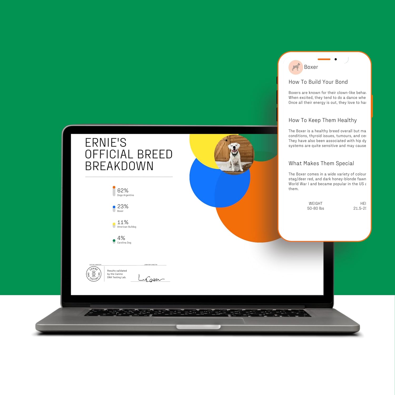 Dna My Dog Essential Breed ID Test – Accurate Mixed Breed Identification & Personality Insights with Easy Cheek Swab