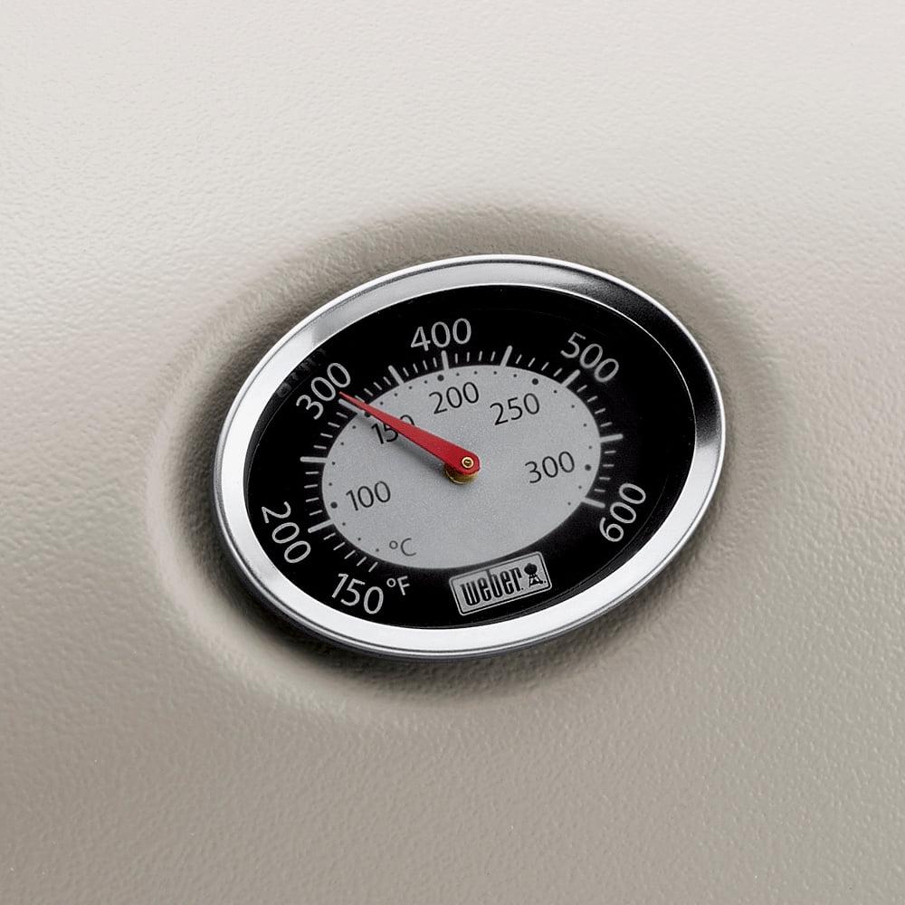 Weber Q 2200 Portable Gas Grill, 1-Burner, Titanium, 12,000 BTU, 280 sq in Cooking Area