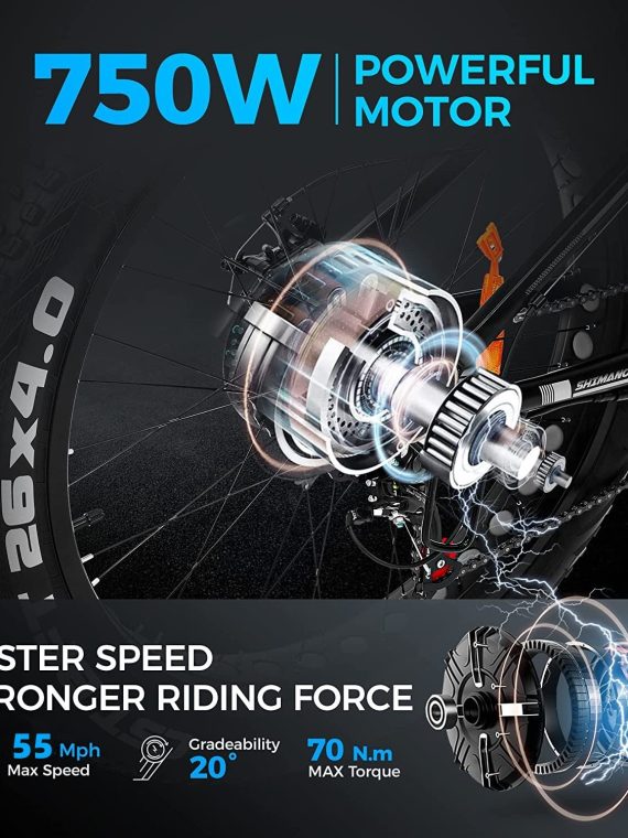 Outdoor electric bike with 48V/15Ah lithium battery �?Black