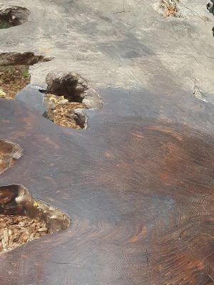 Home Accents 12 ft. Giant-Sized Skeleton with LifeEyes NO250058