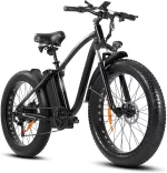 Outdoor electric bike with 48V/15Ah lithium battery �?Black
