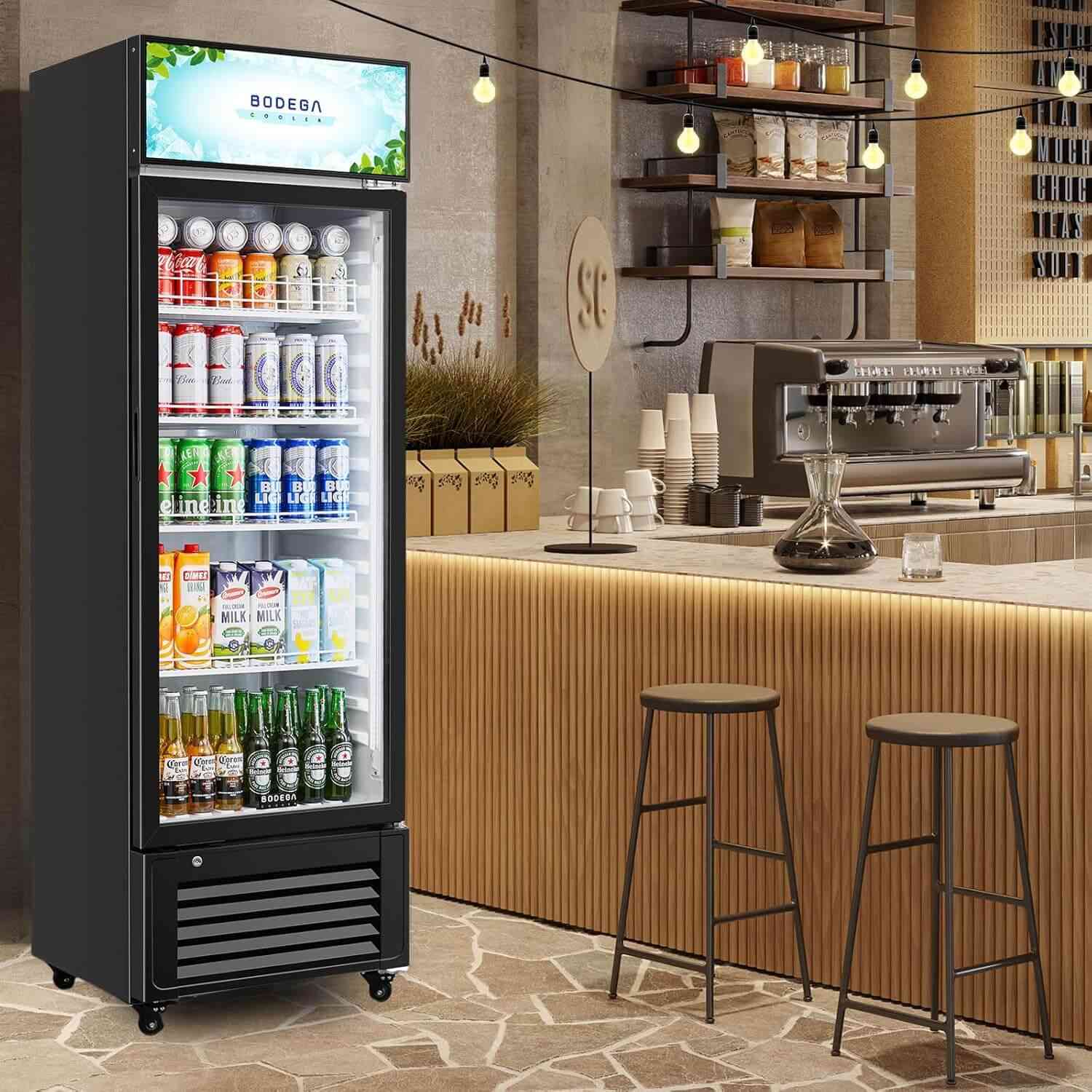 Commercial Glass Door Display Refrigerator Merchandiser 11.3 Cu. Ft