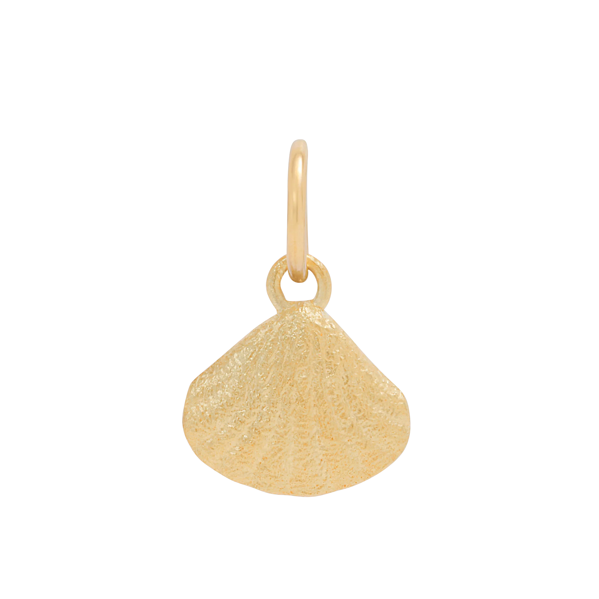 Baby Shell Charm - Gold