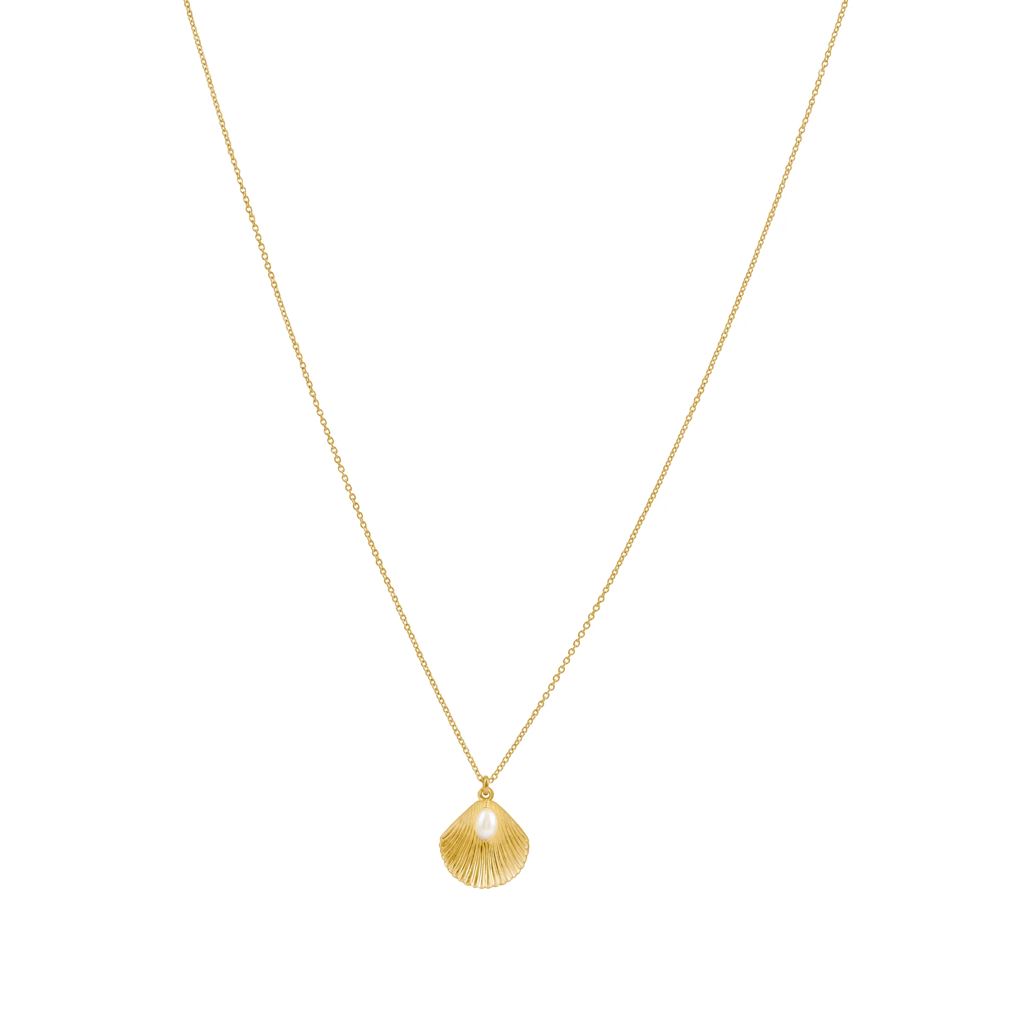 Ula Shell Necklace - Gold