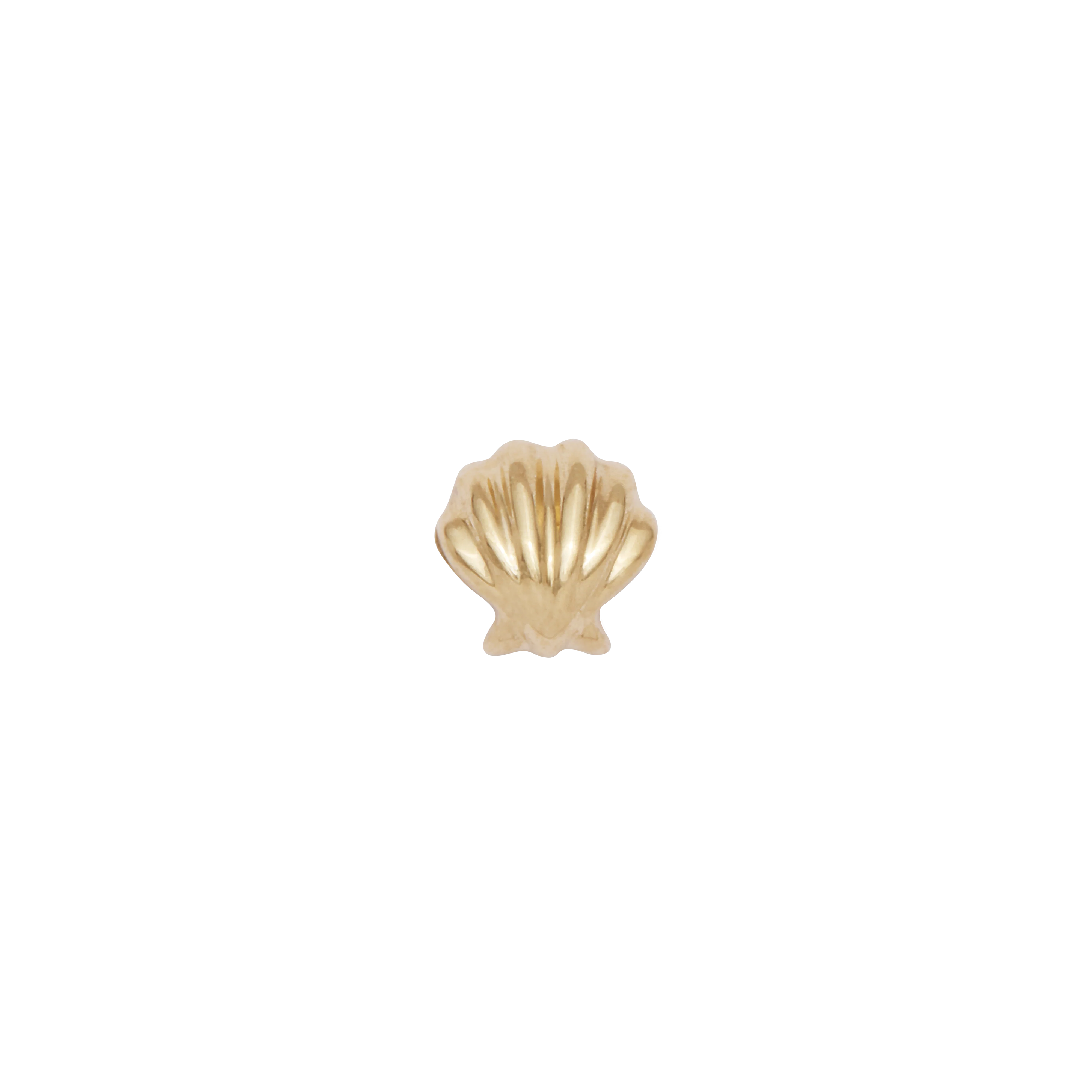 Tiny Shell Slider Charm - Solid Gold