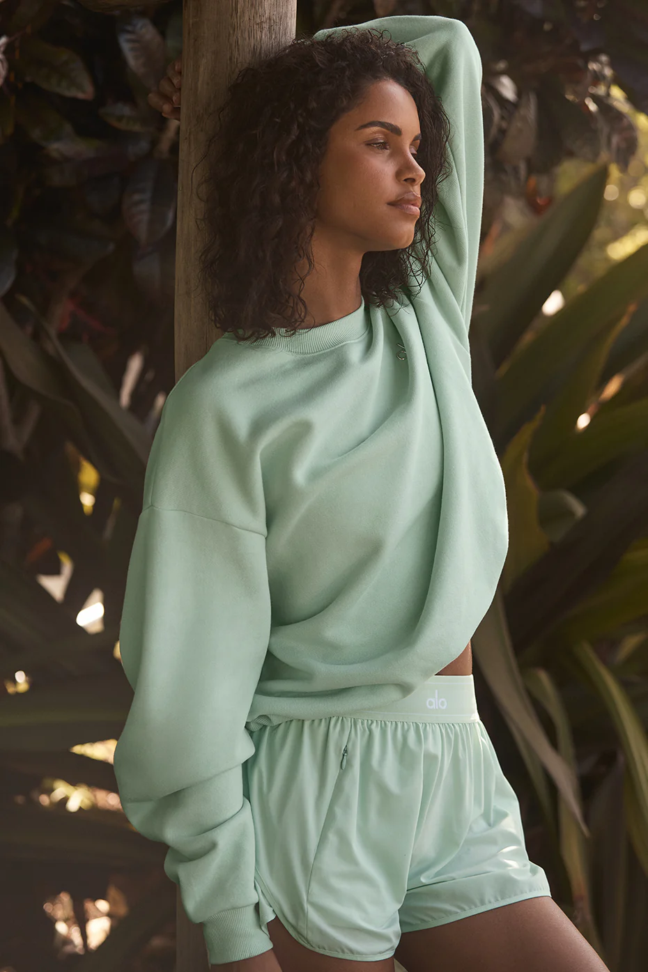 Accolade Crew Neck Pullover - Spearmint