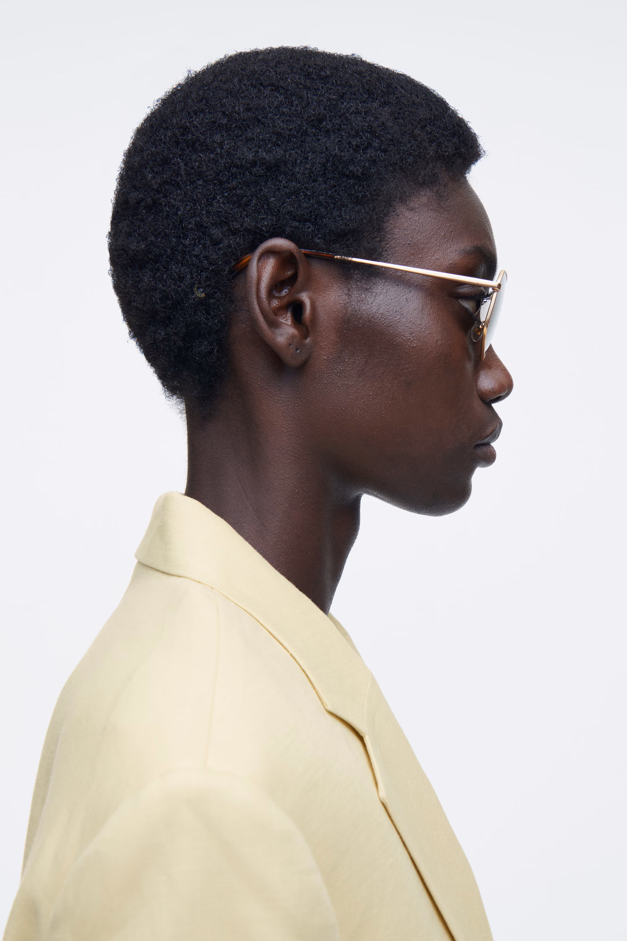 VISTA SUNGLASSES - AVIATOR