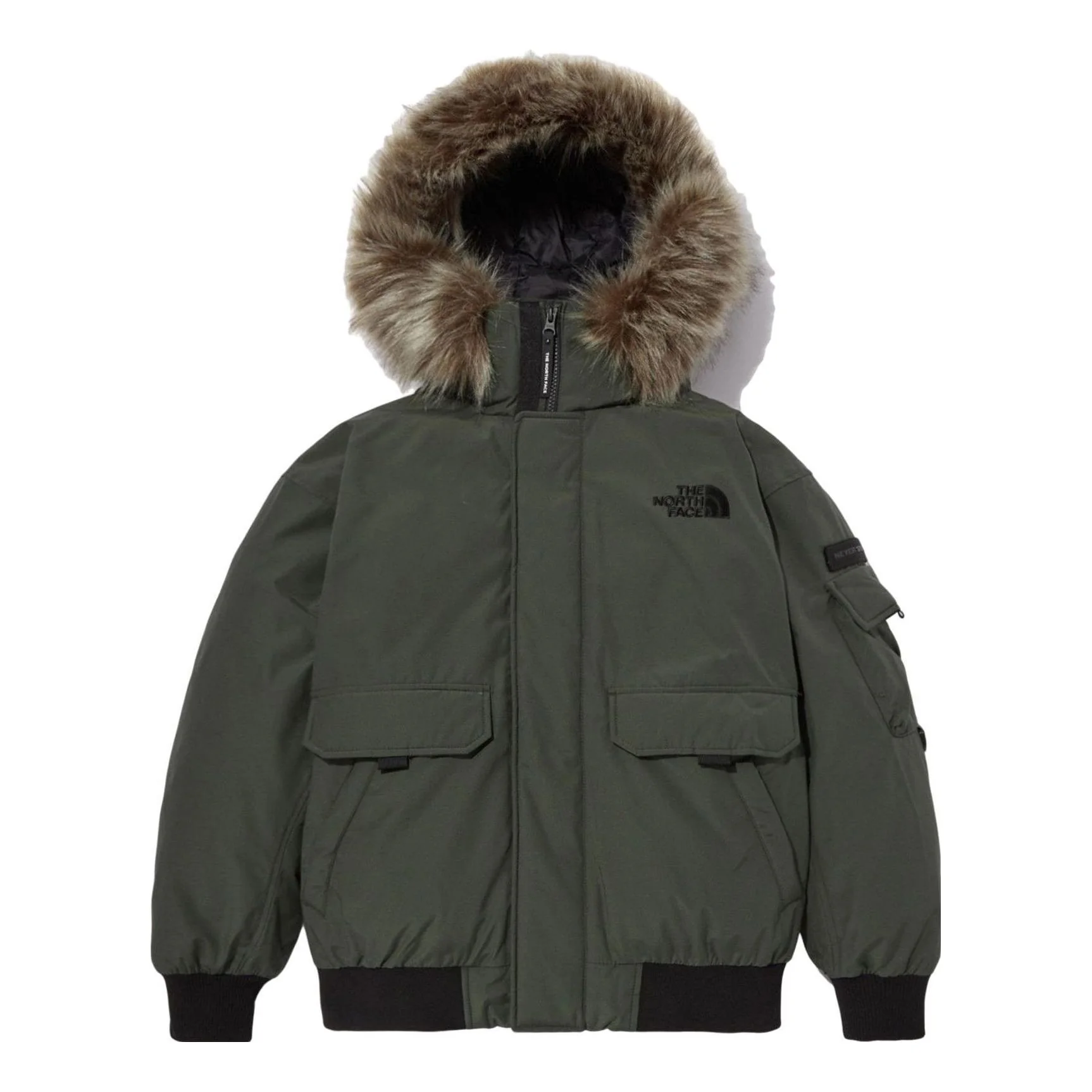 THE NORTH FACEPolar Air Down Jacket