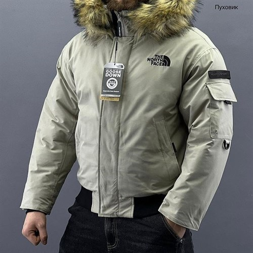 THE NORTH FACEPolar Air Down Jacket