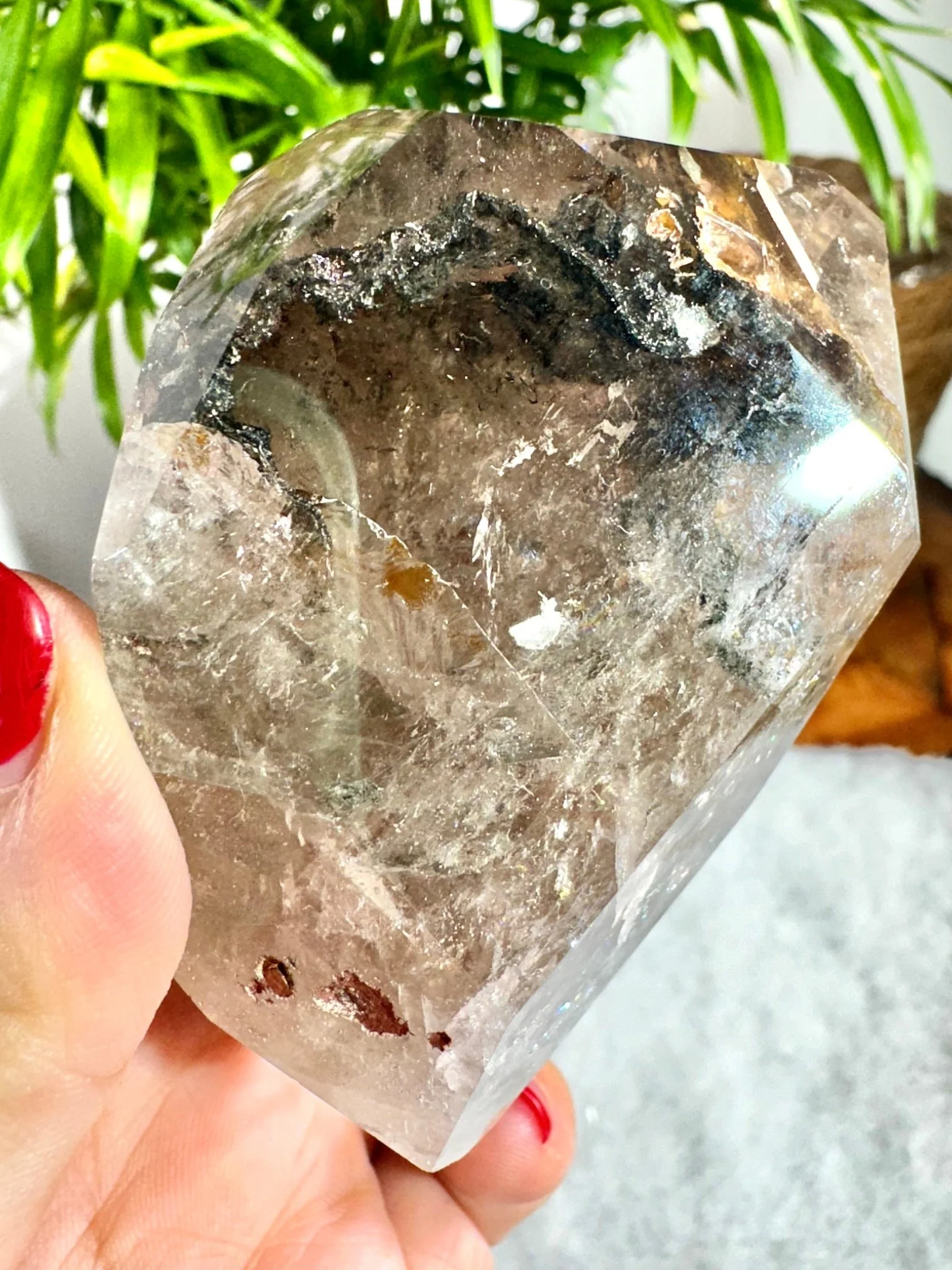 Shaman (Garden) Smokey Quartz Free Form | 196g