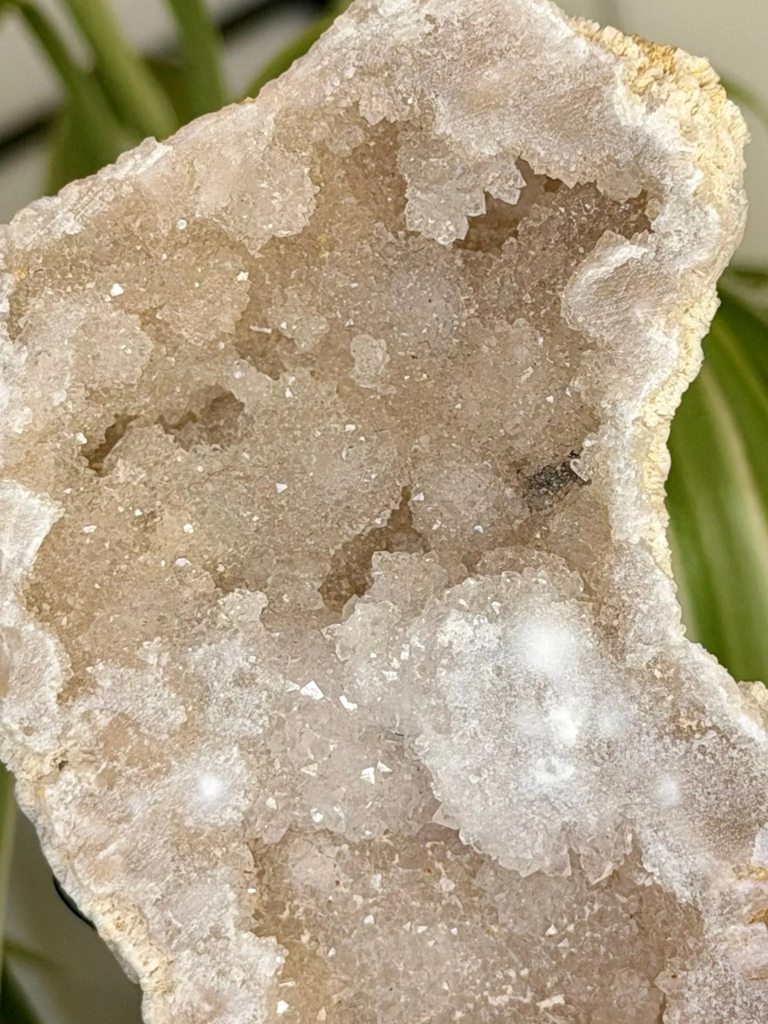 Quartz Geode | 144g