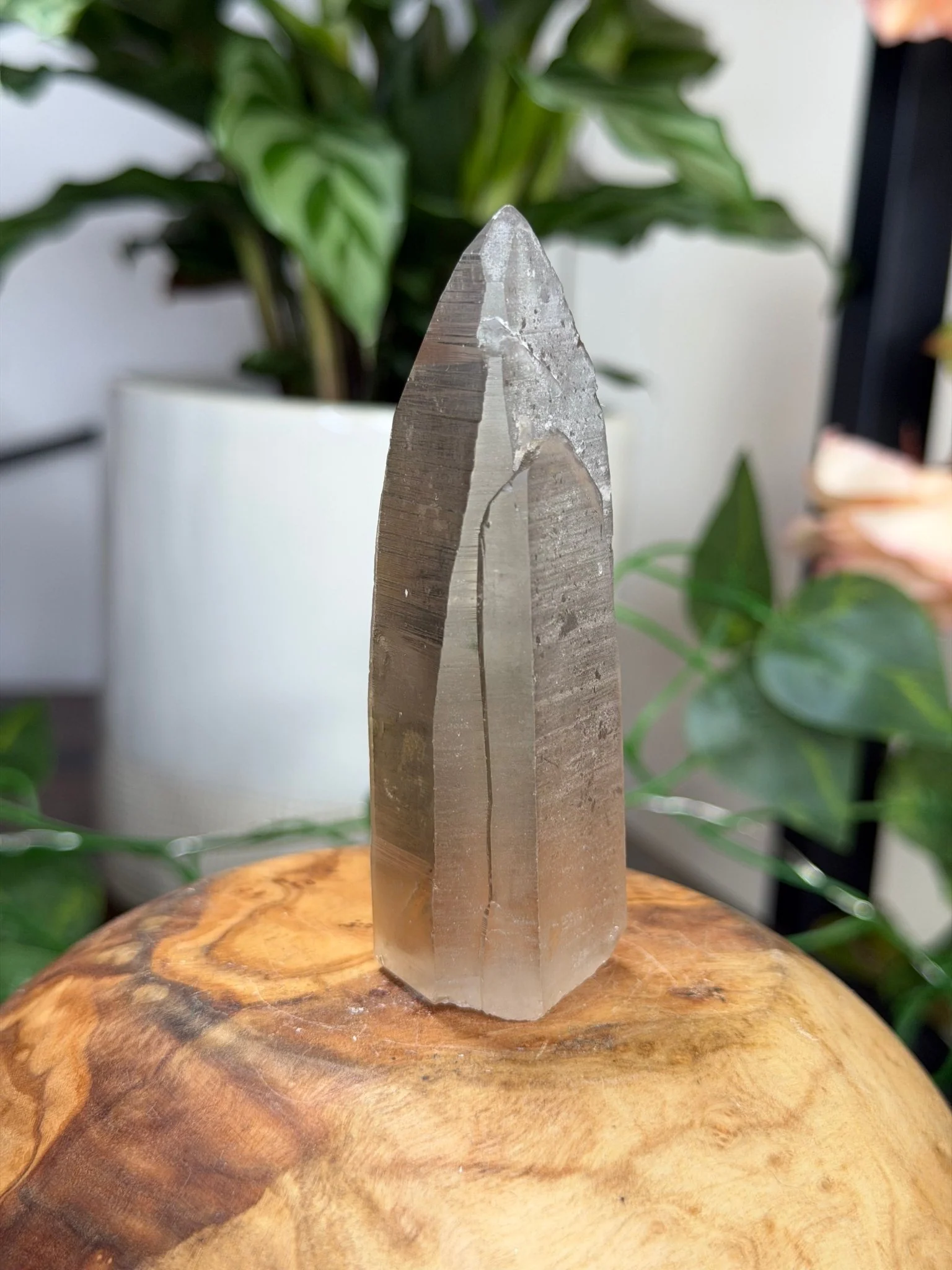 Smokey Serra do Cabral Cathedral Lemurian quartz | 68g