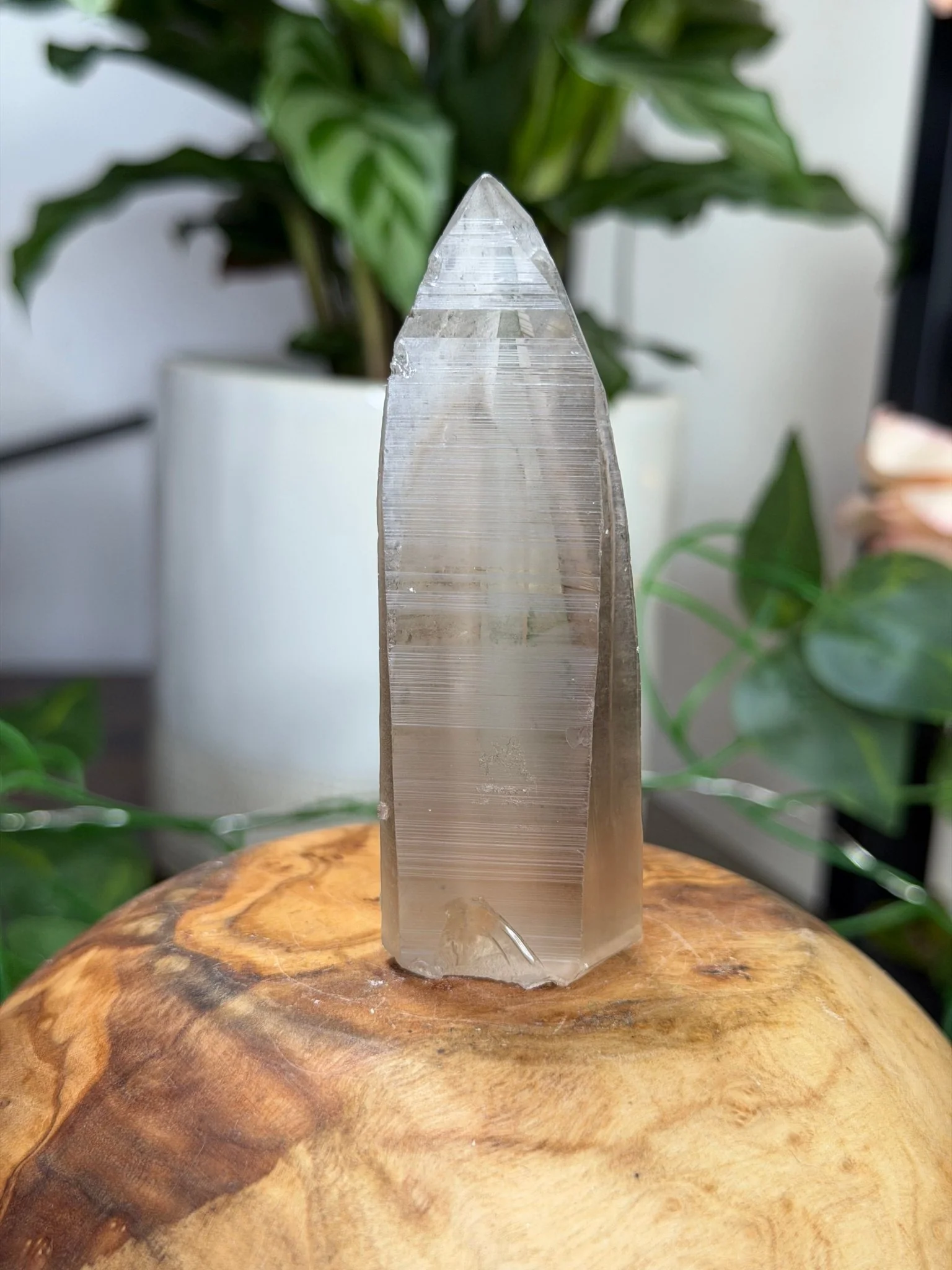 Smokey Serra do Cabral Cathedral Lemurian quartz | 68g