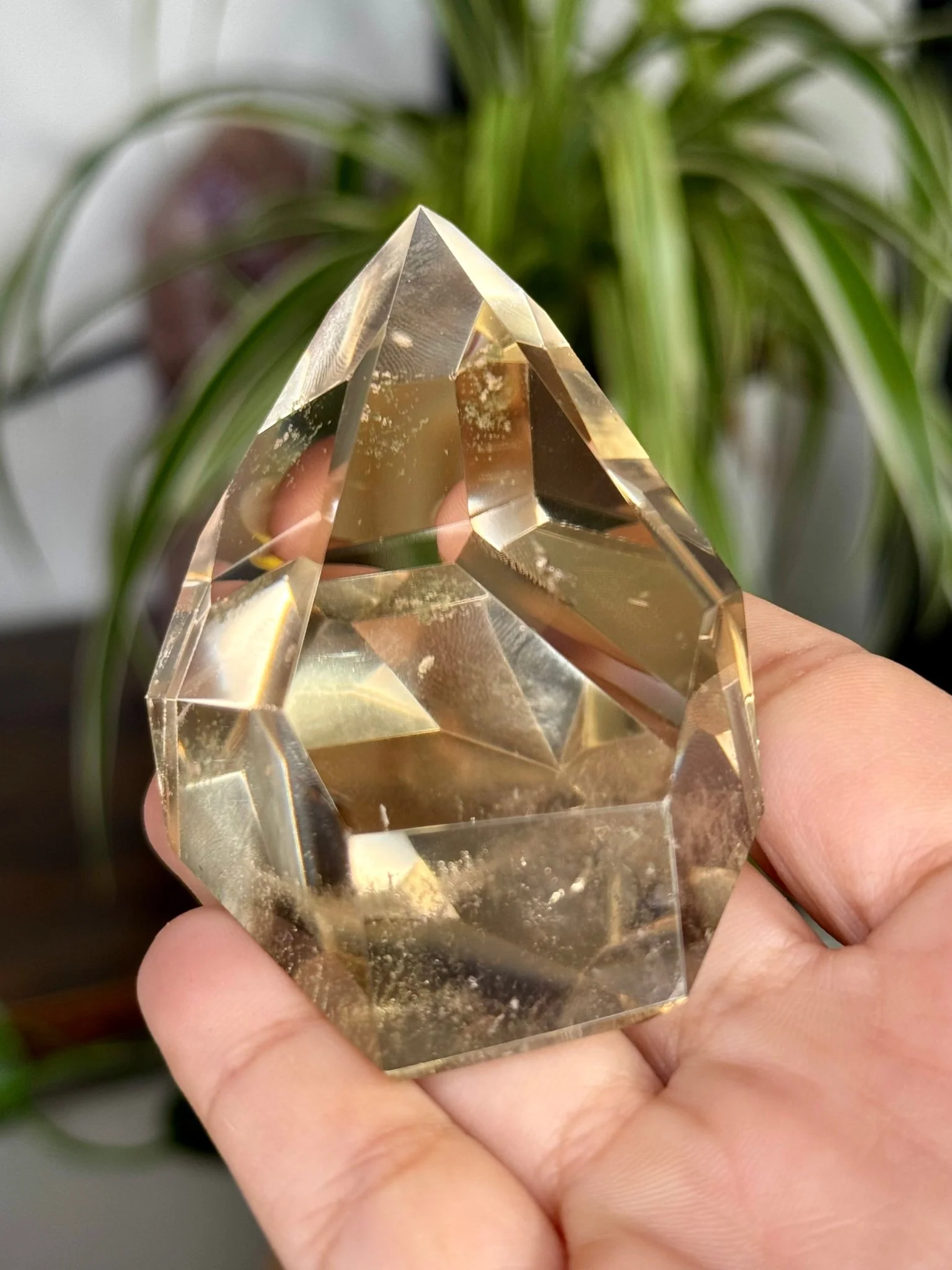 100% High Quality Natural Brazilian Champagne Citrine Free Form (Polished) | 110g