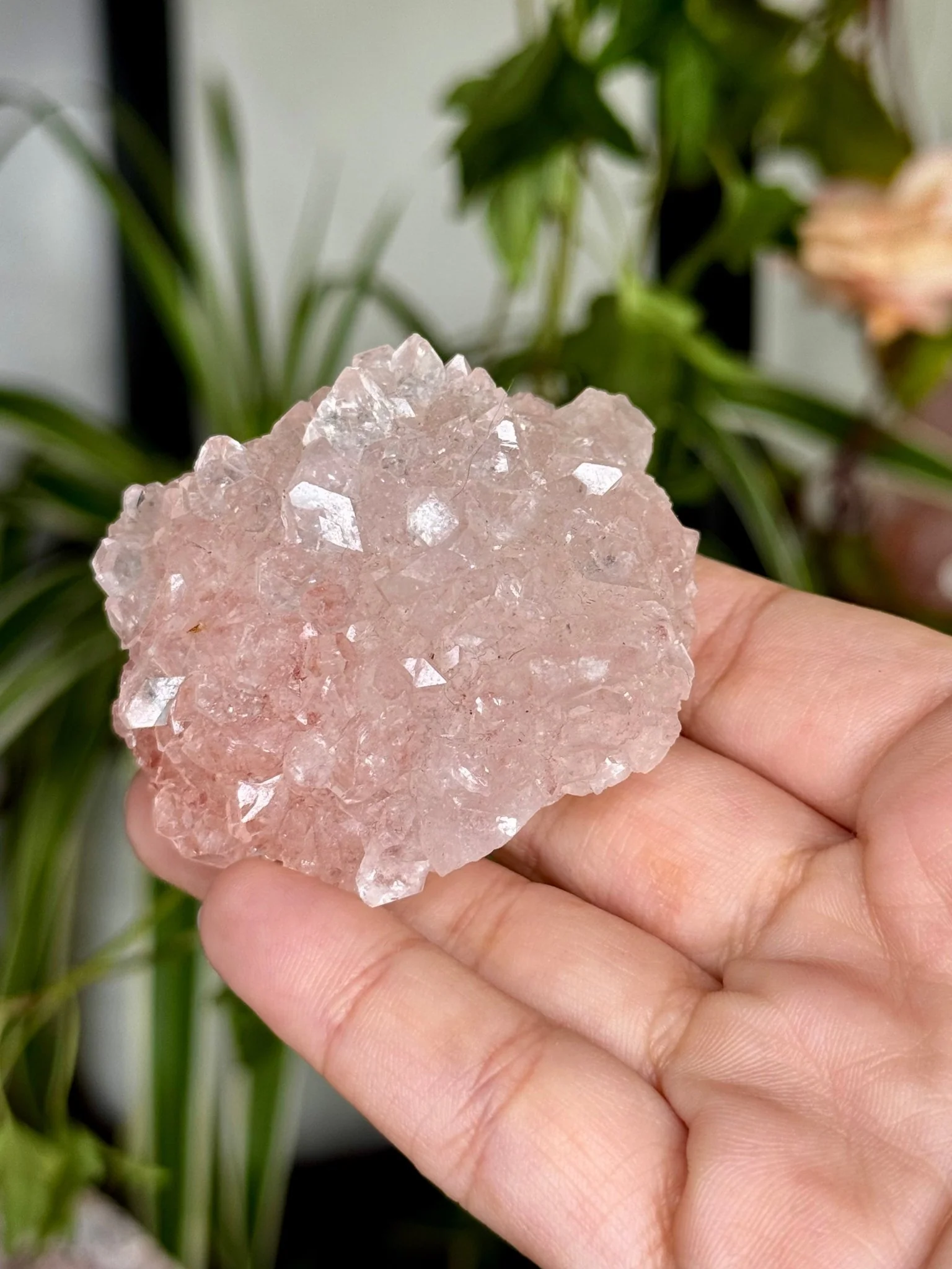 Pink Apophyllite Cluster | 57g