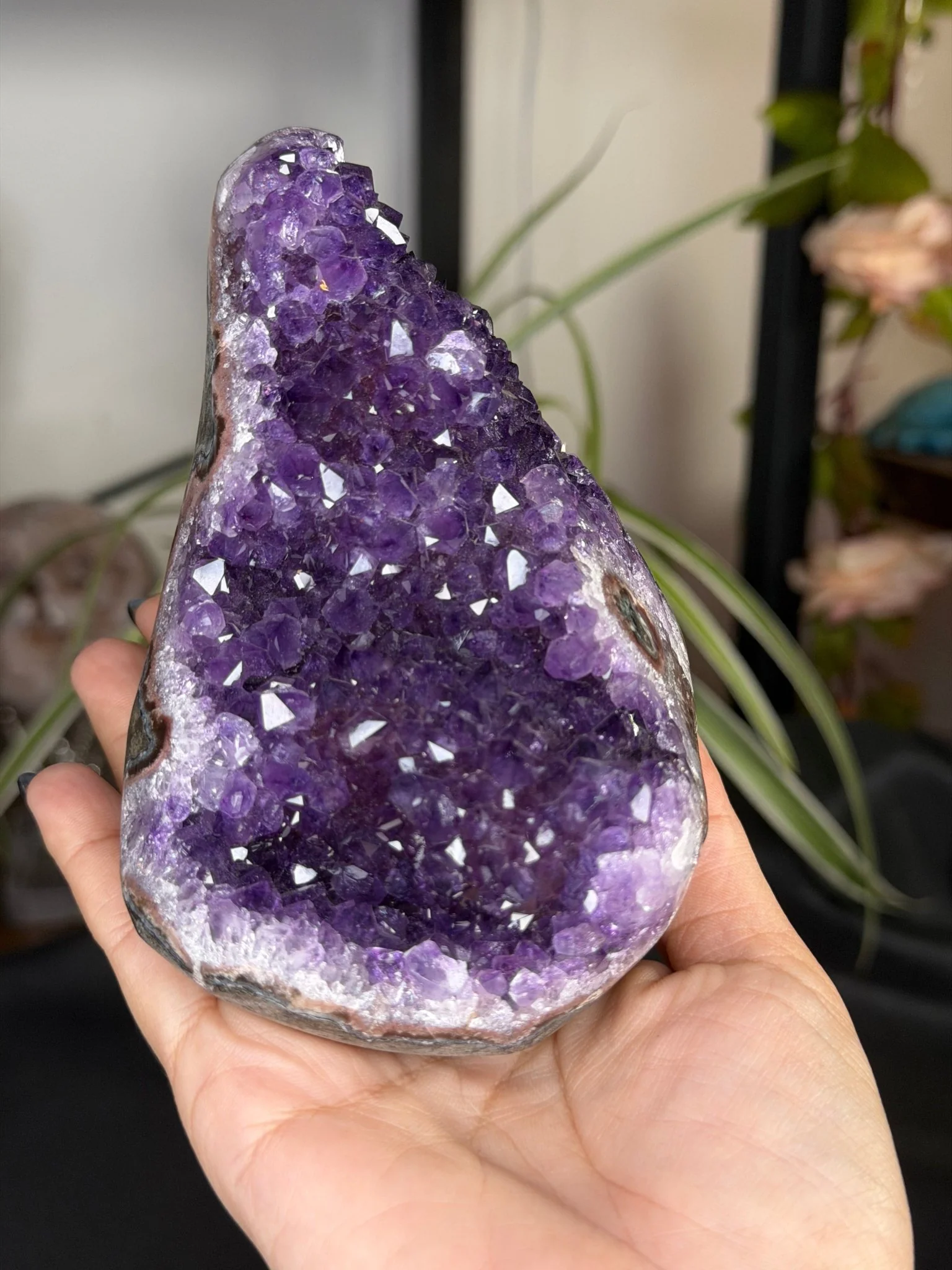 High Quality Amethyst | 704g
