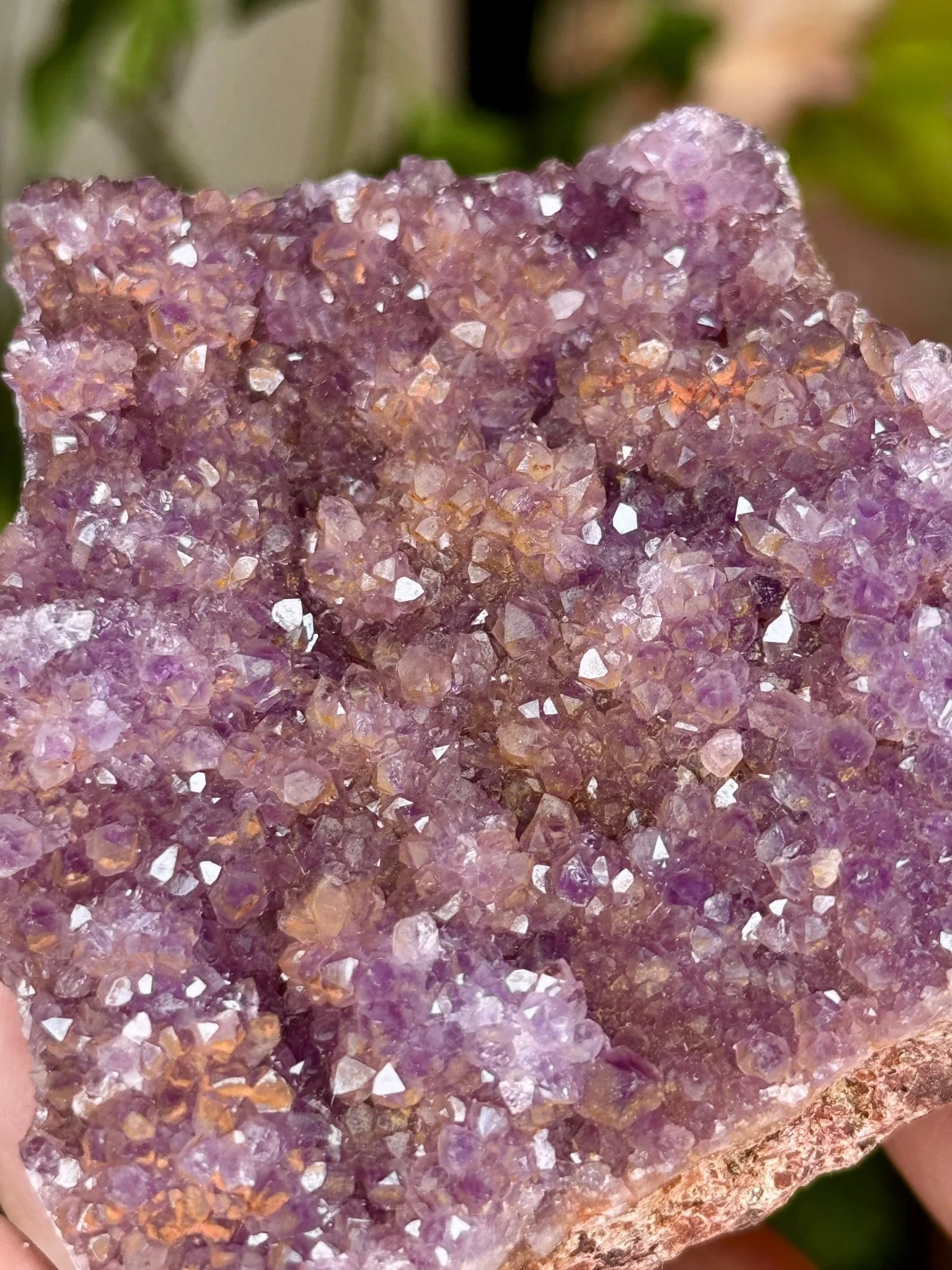 Alacam Amethyst Cluster | 152g