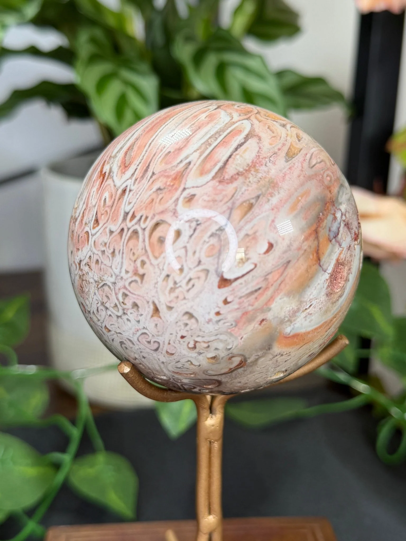 Petrified Wood Sphere | 478g