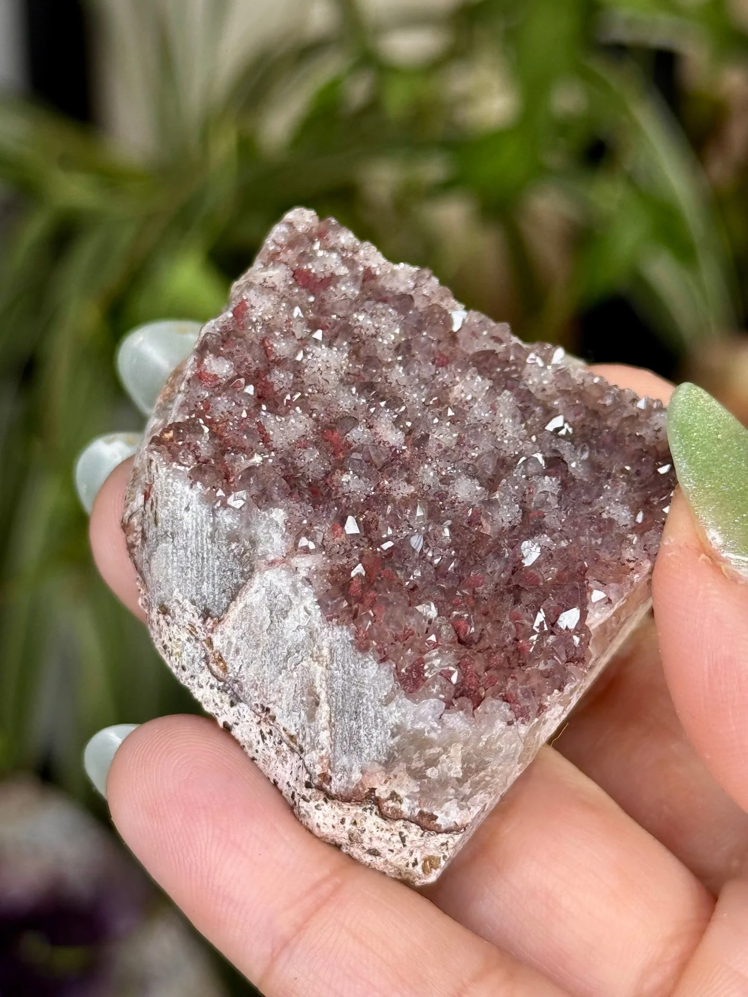 Alacam Amethyst Cluster | 55g