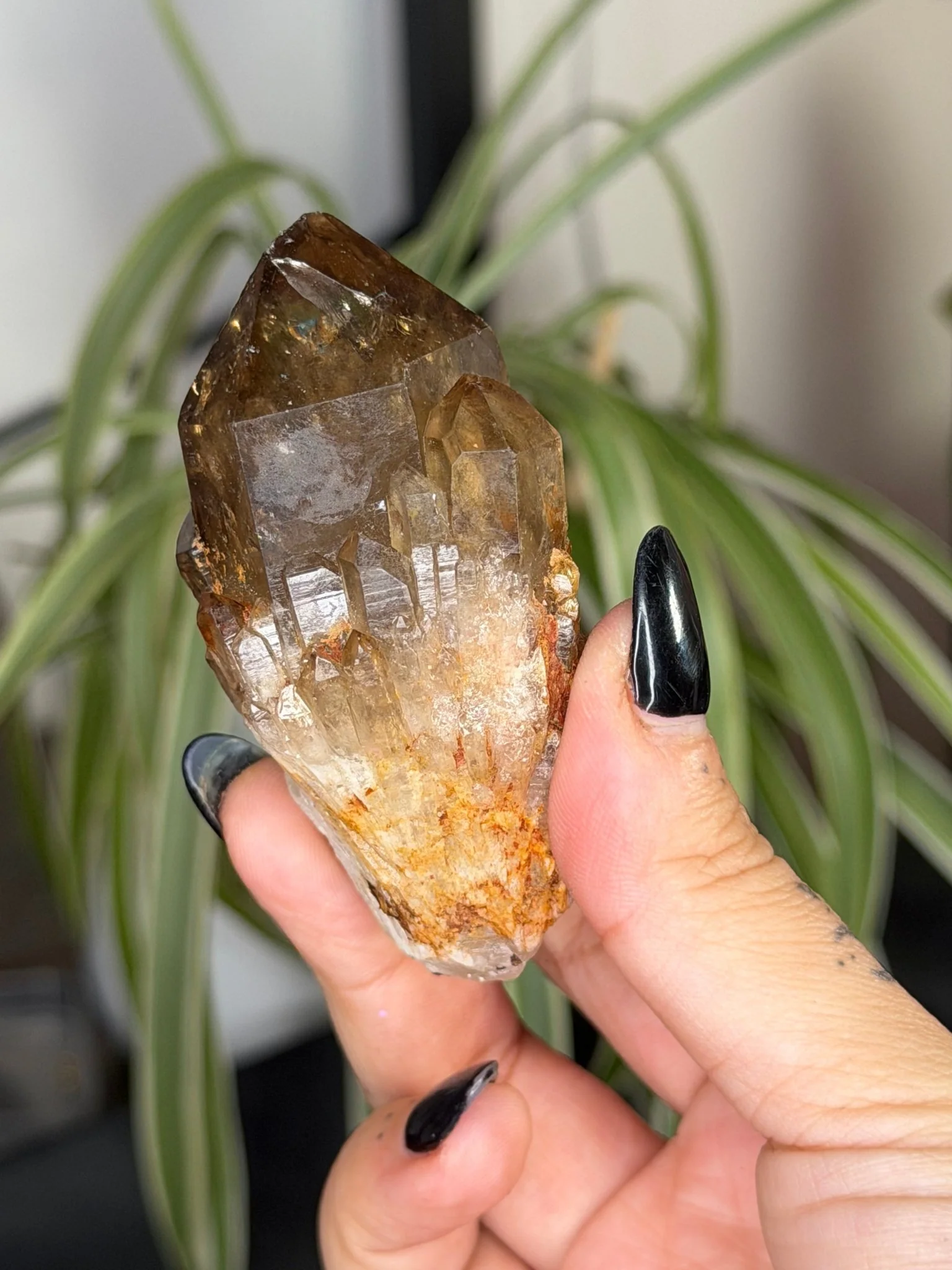 Natural Congo ('Kundalini) Citrine | 86g
