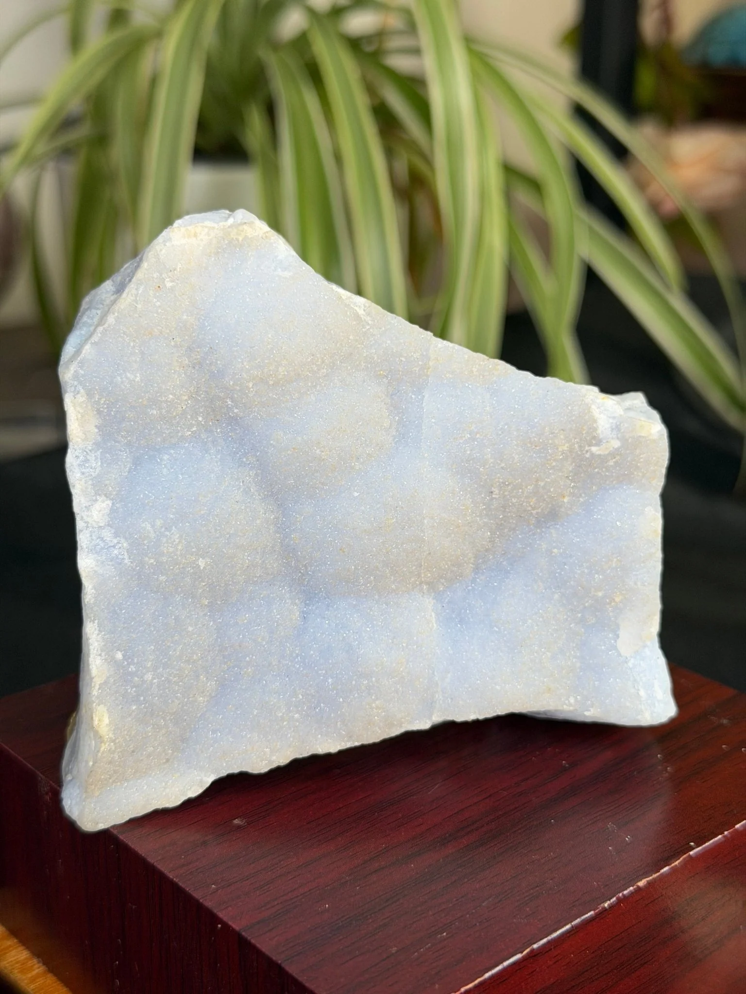 Blue Lace Specimen with Mica | 361g