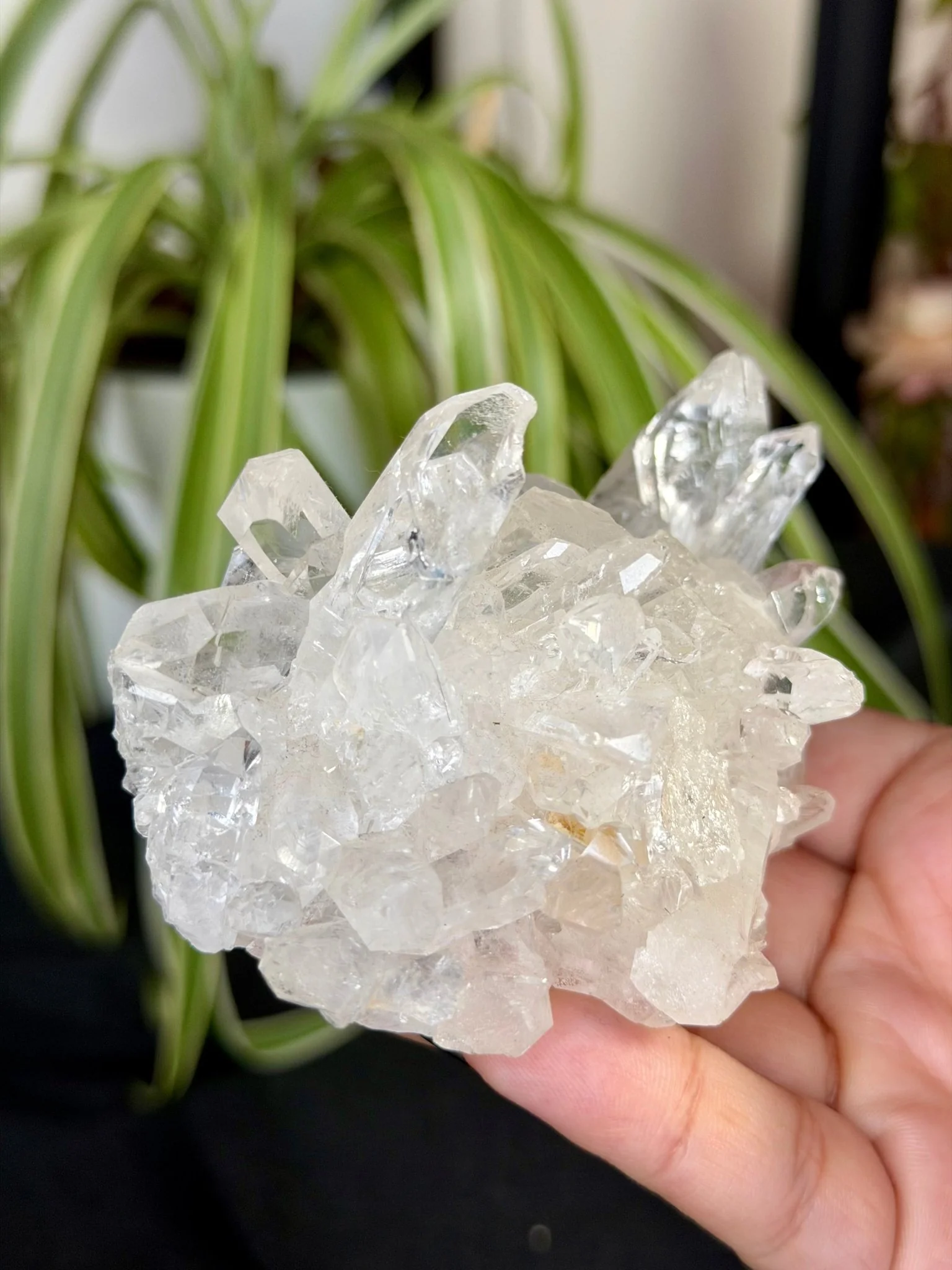 Clear Quartz Cluster |196g