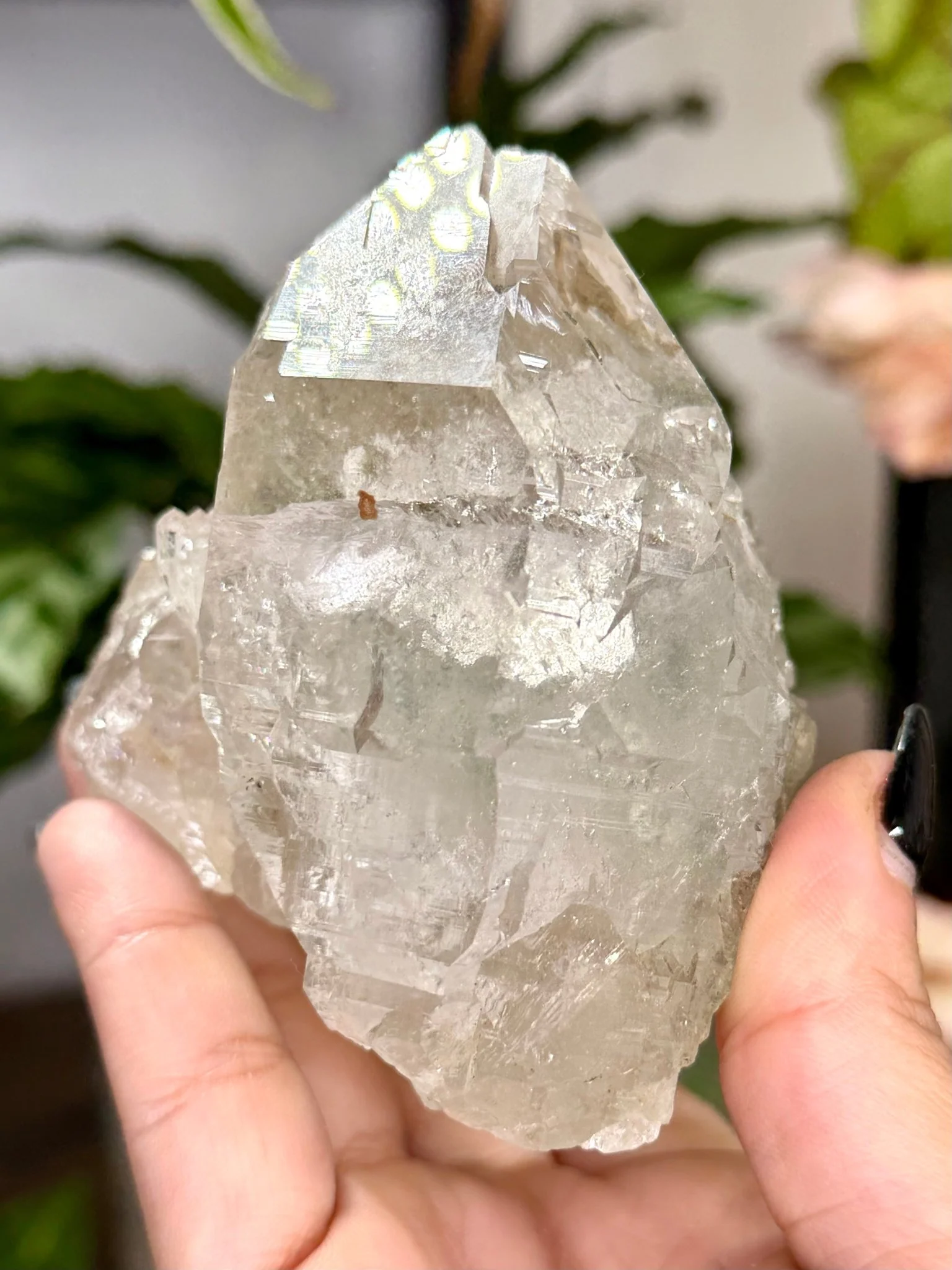 High Quality Himalayan Quartz with Chlorite | 292g