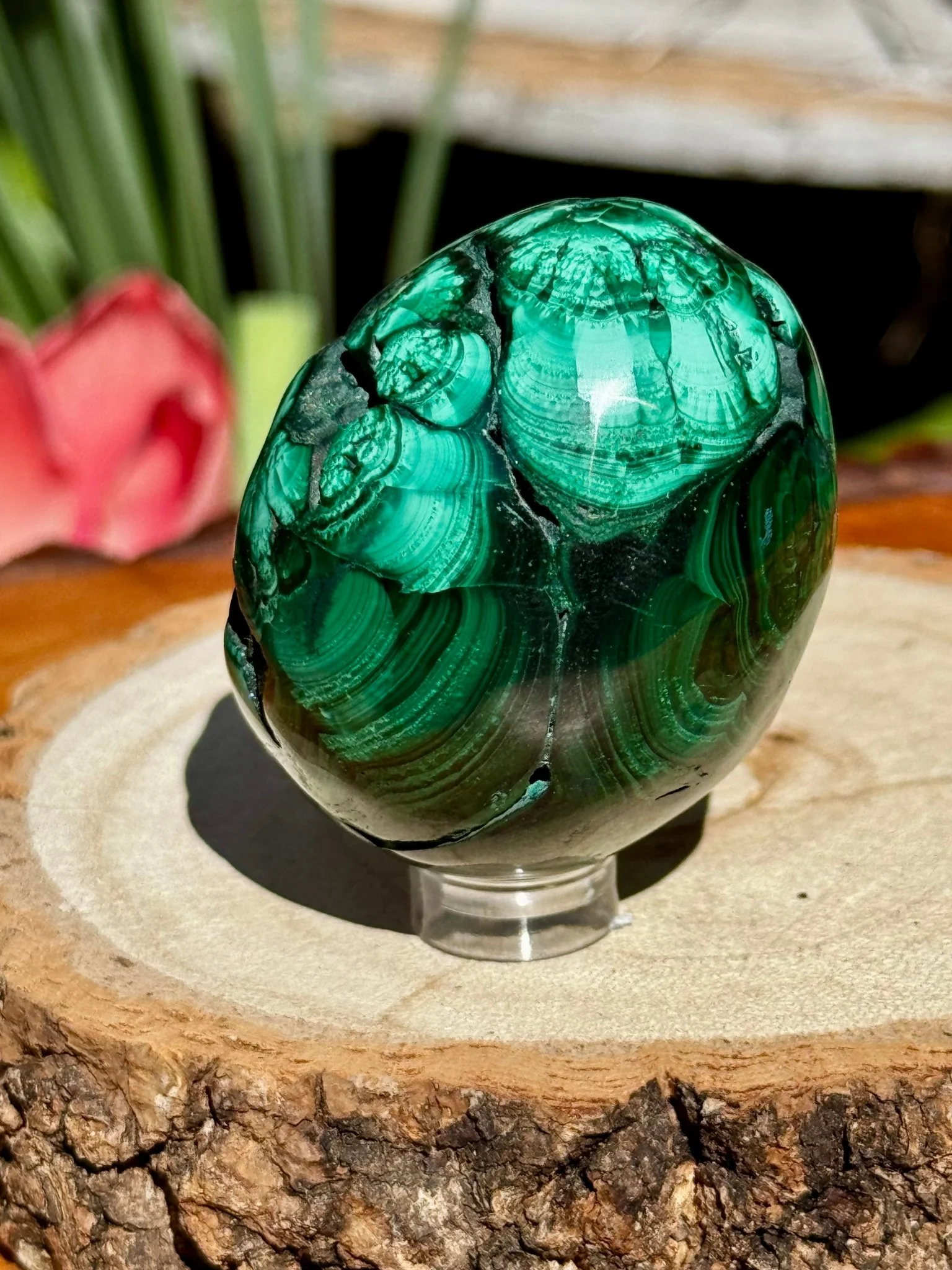 Malachite egg | 178g