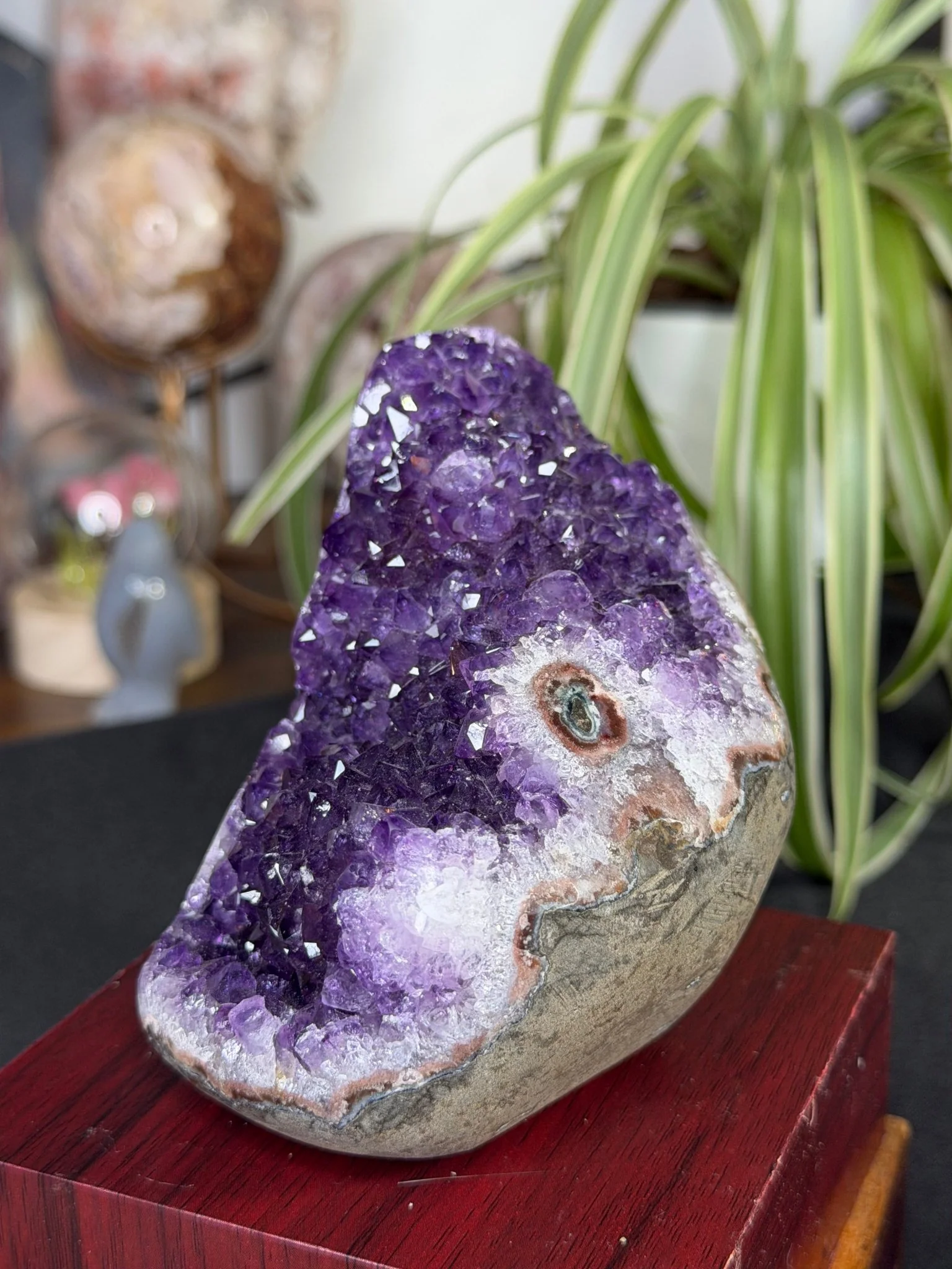 High Quality Amethyst | 704g
