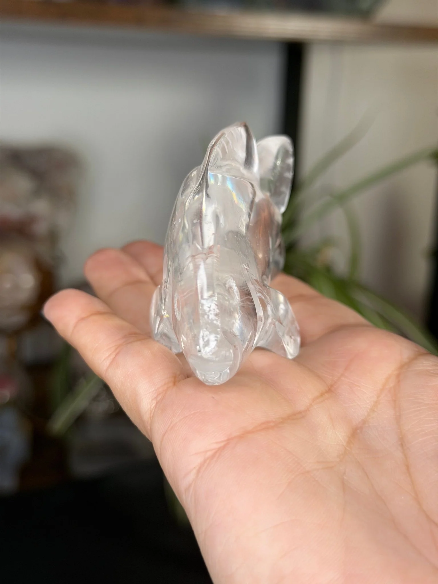 Clear Quartz Fish | 109g