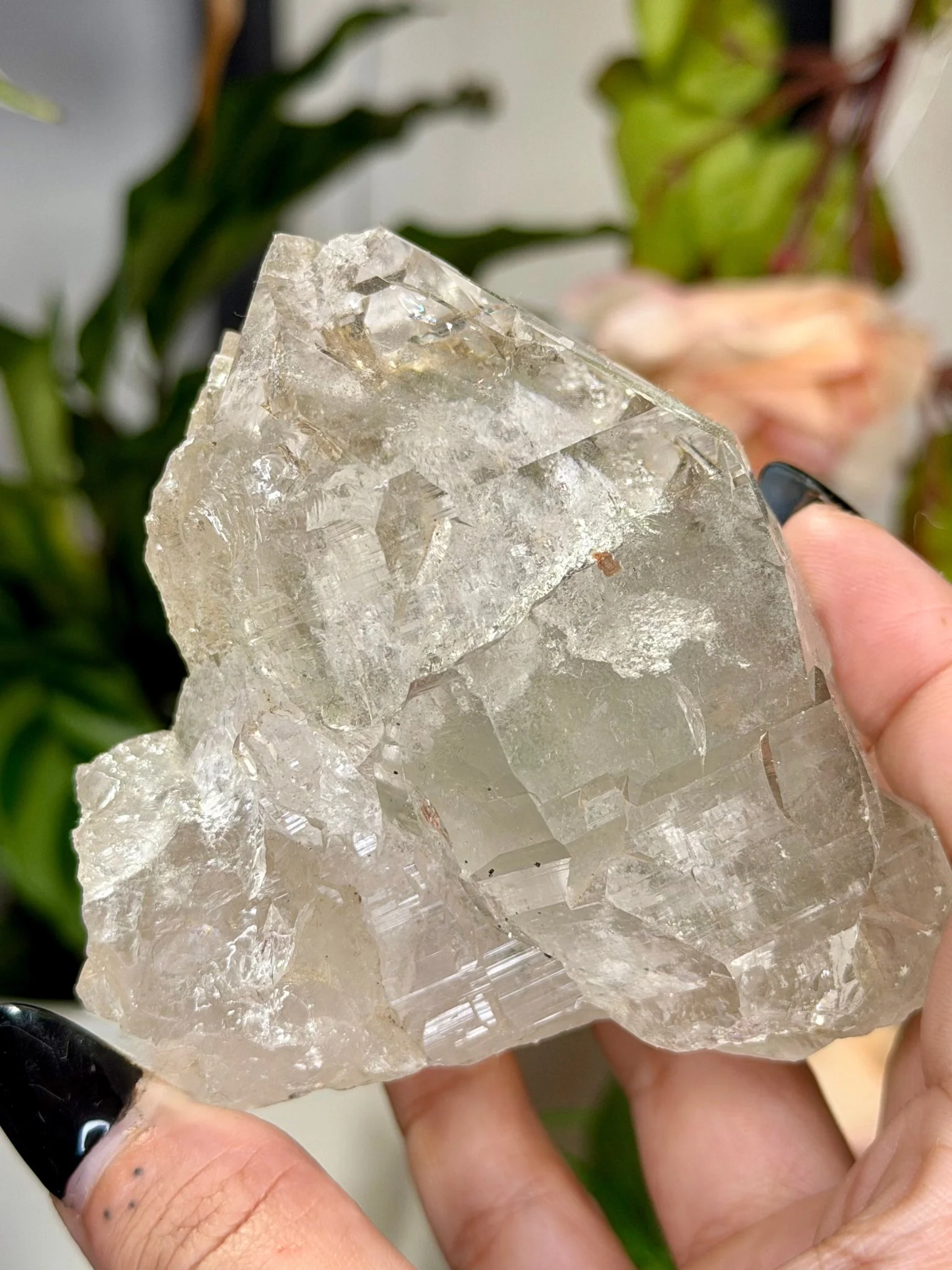 High Quality Himalayan Quartz with Chlorite | 292g