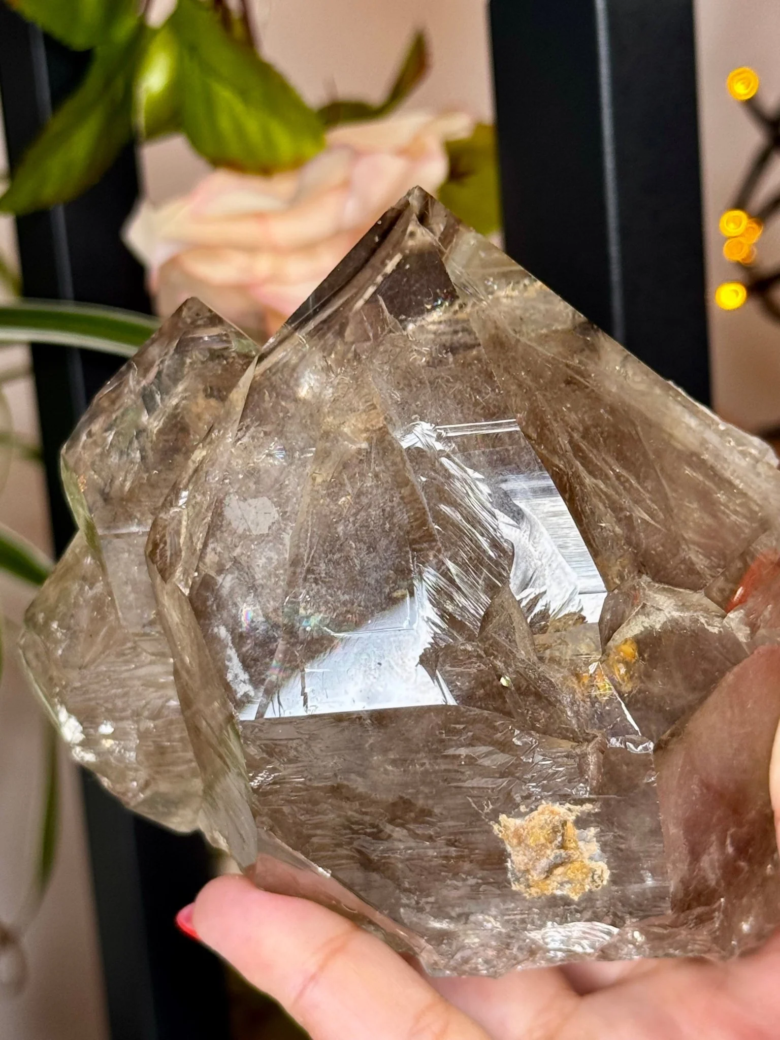Statment Piece ~ Elestial Smokey Quartz | 575g