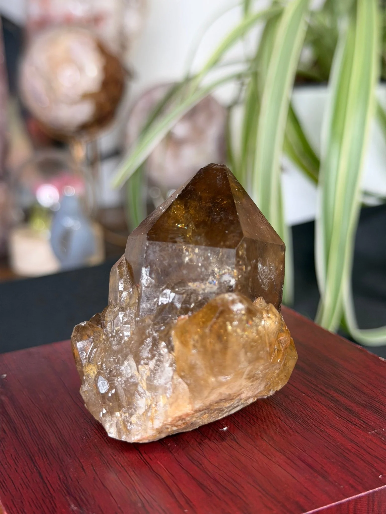 Natural Congo ('Kundalini) Citrine | 129g