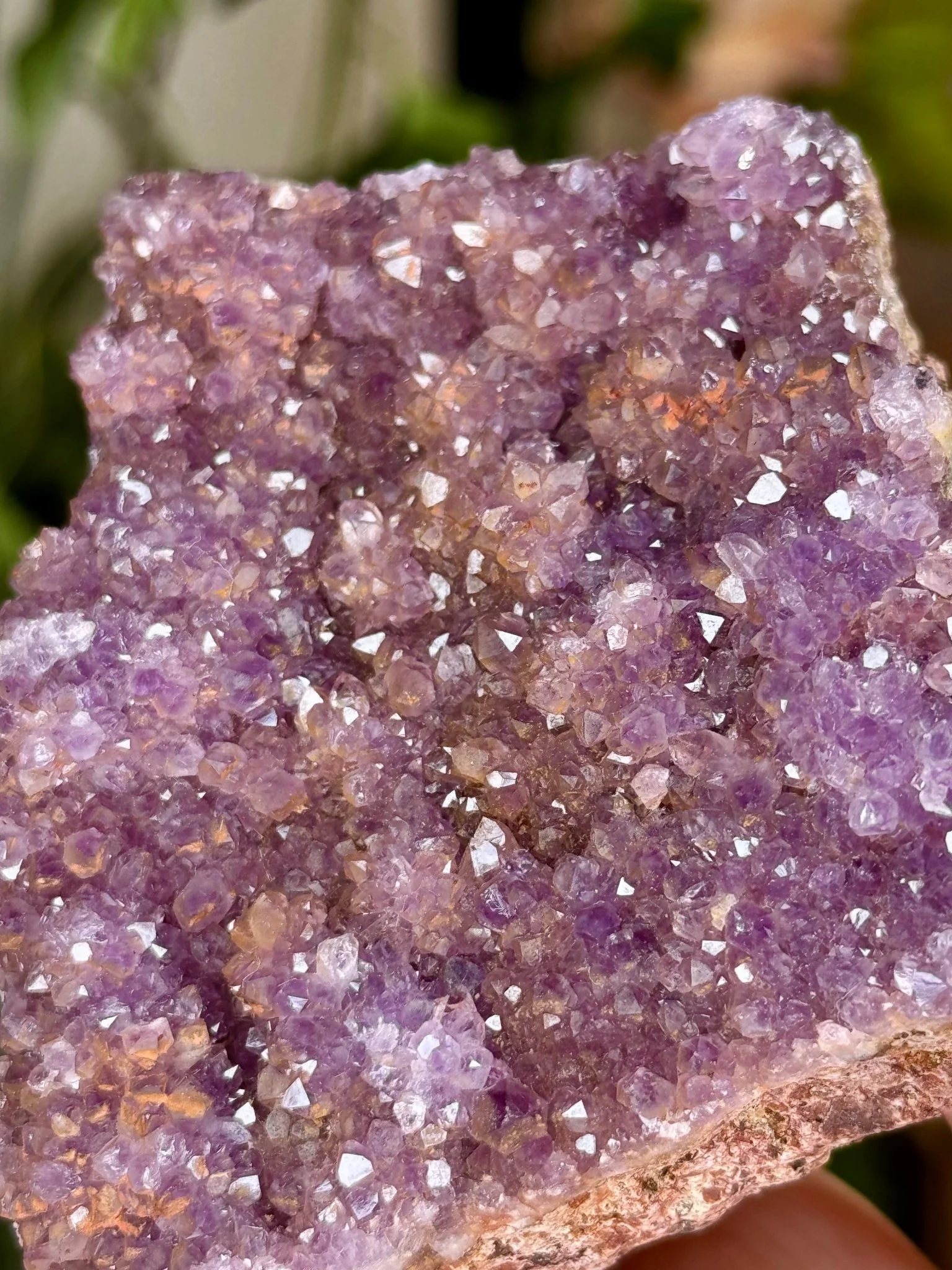 Alacam Amethyst Cluster | 152g