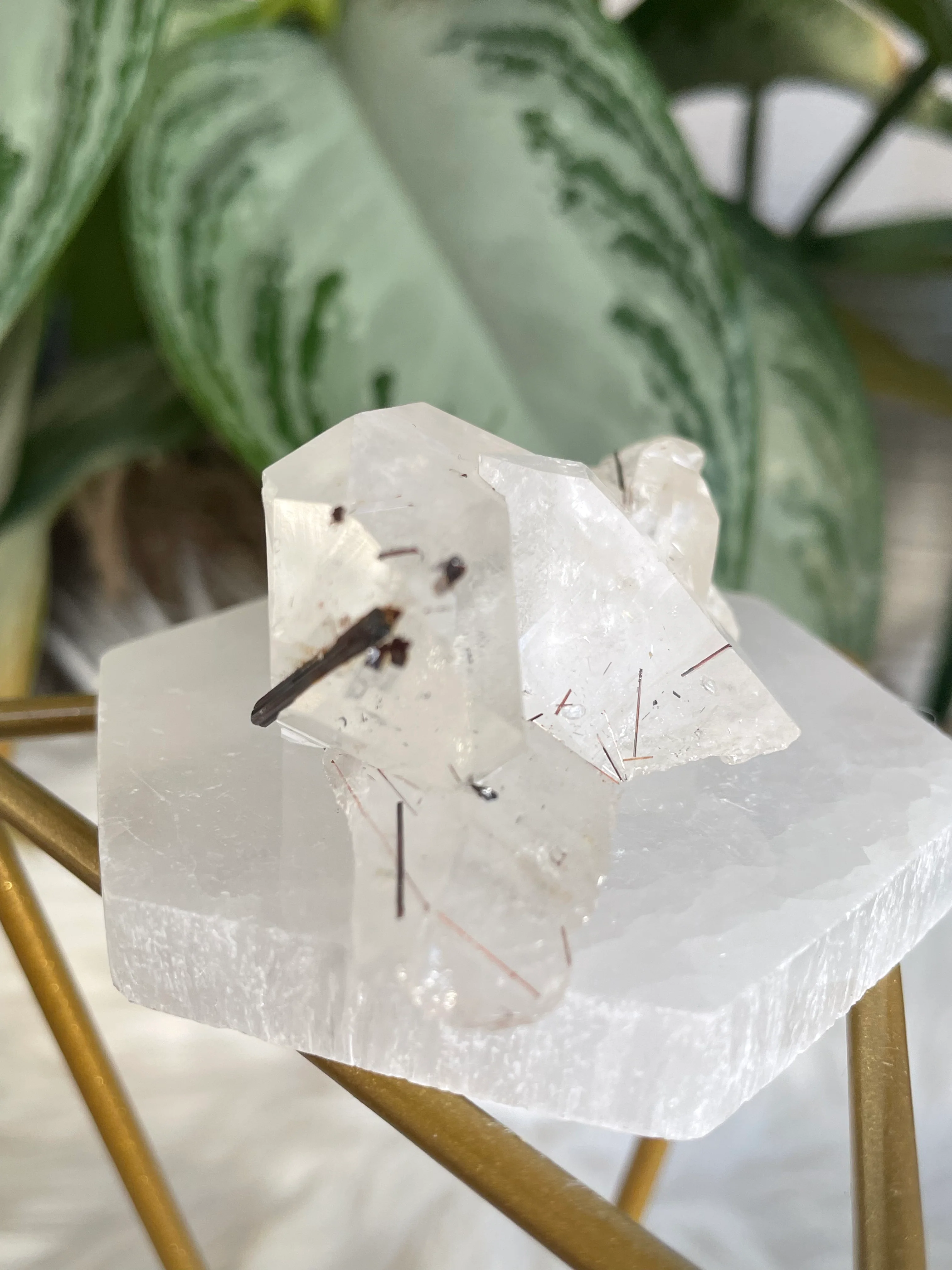 Clear Quartz Cluster Points with Copper Rutile | 185g
