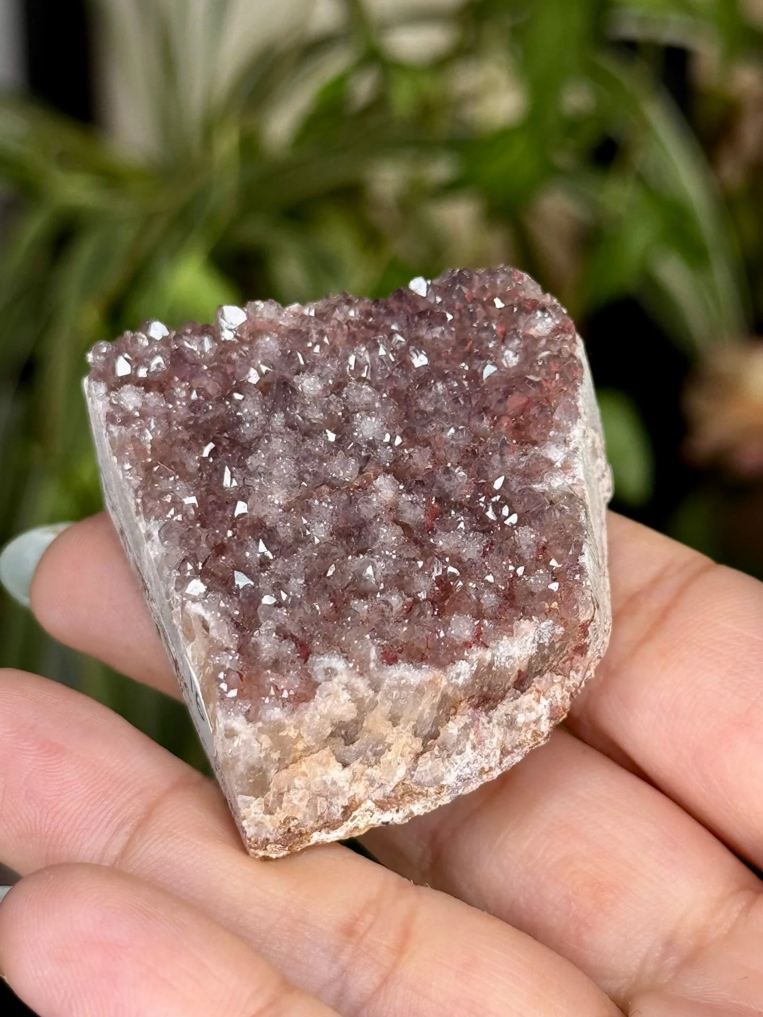 Alacam Amethyst Cluster | 55g
