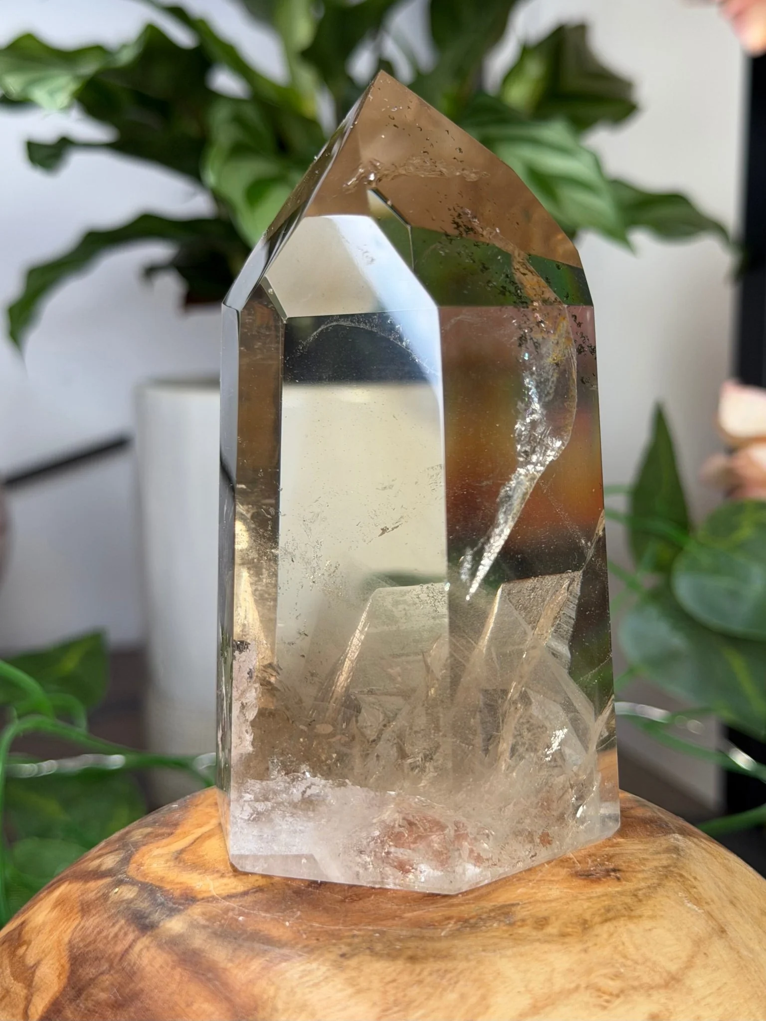 High Quality Natural Brazilian Champagne Citrine with Phanthon | 360g