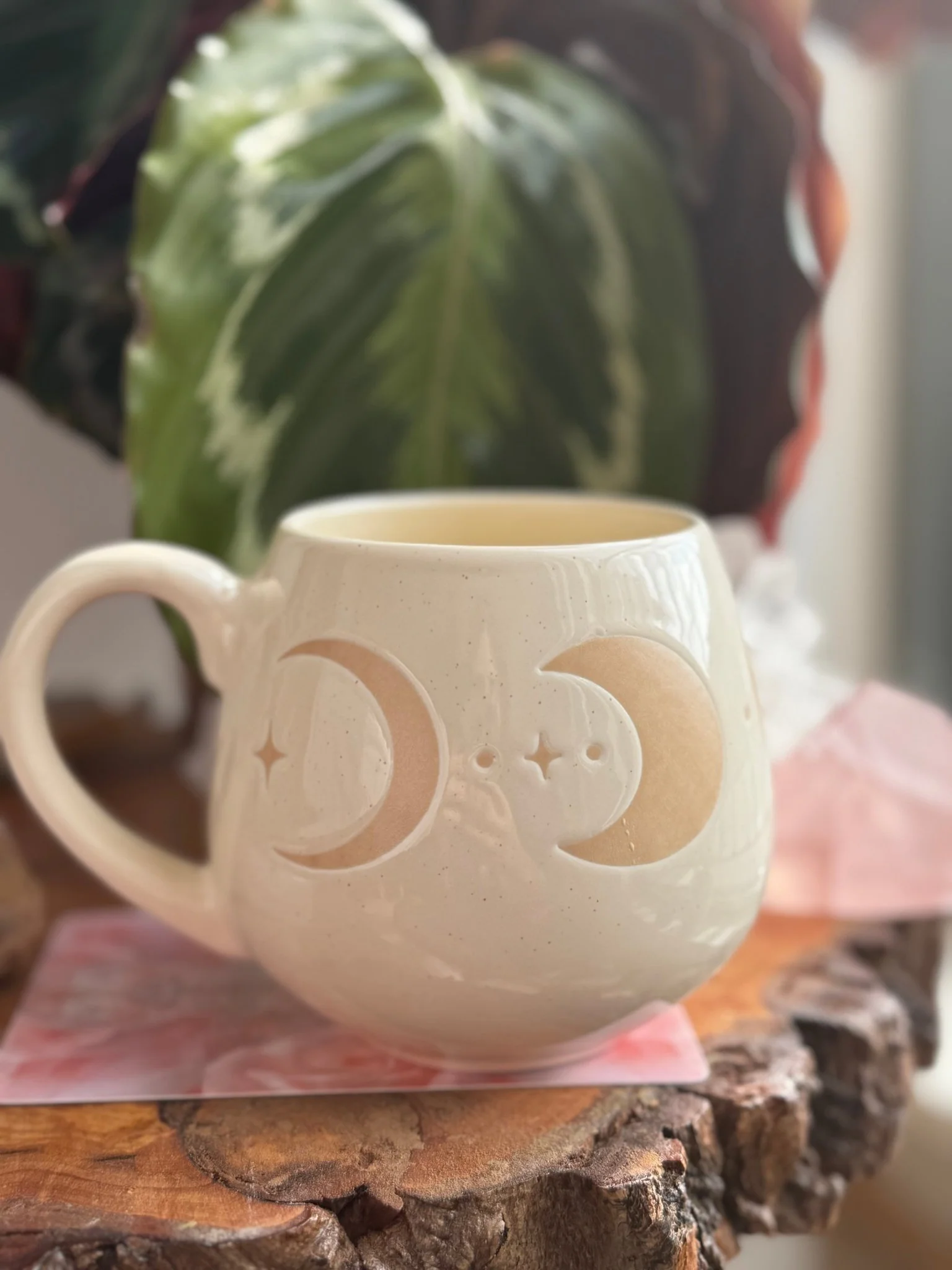 Moon phases mug