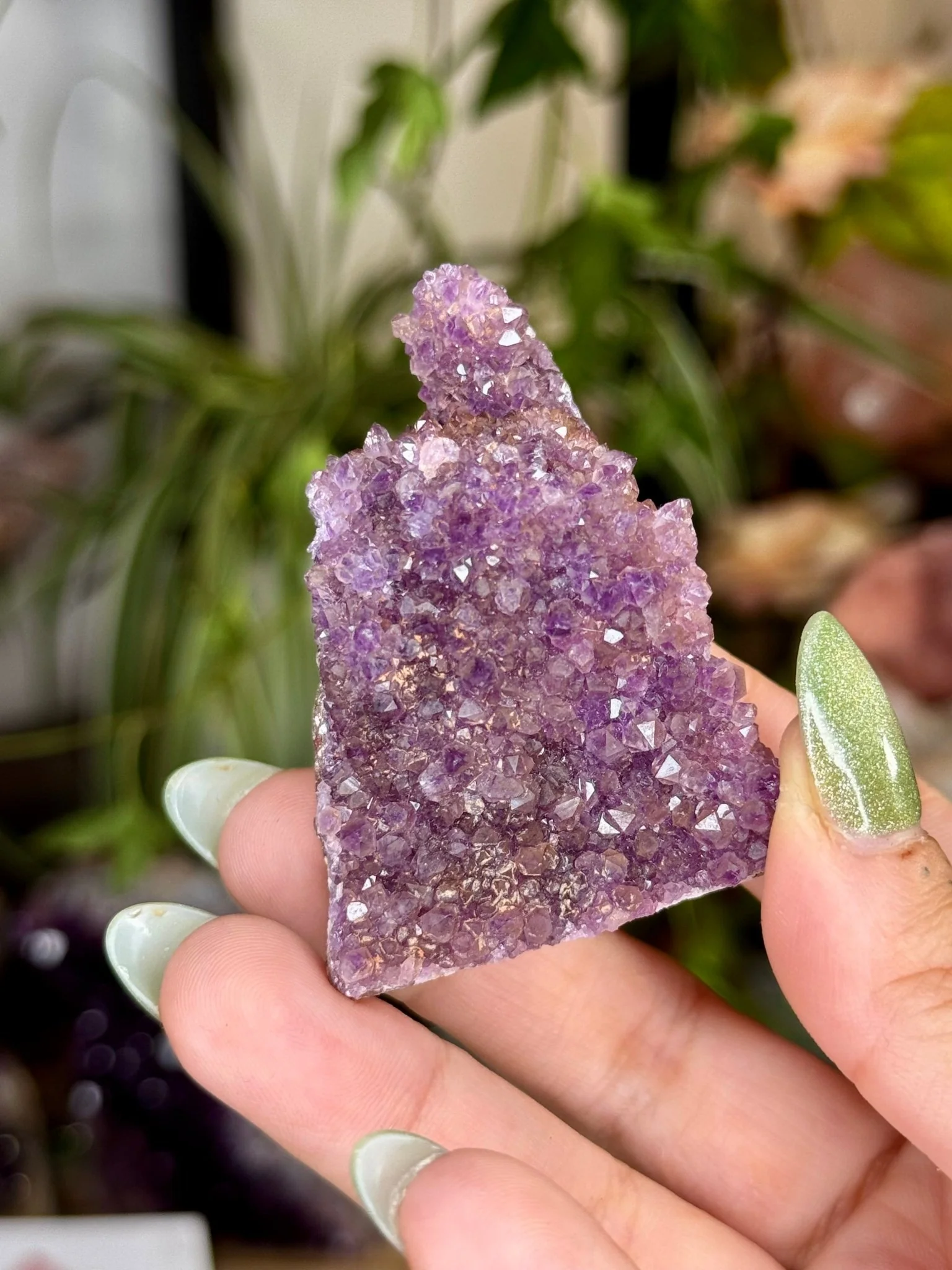 Alacam Amethyst Cluster | 55g