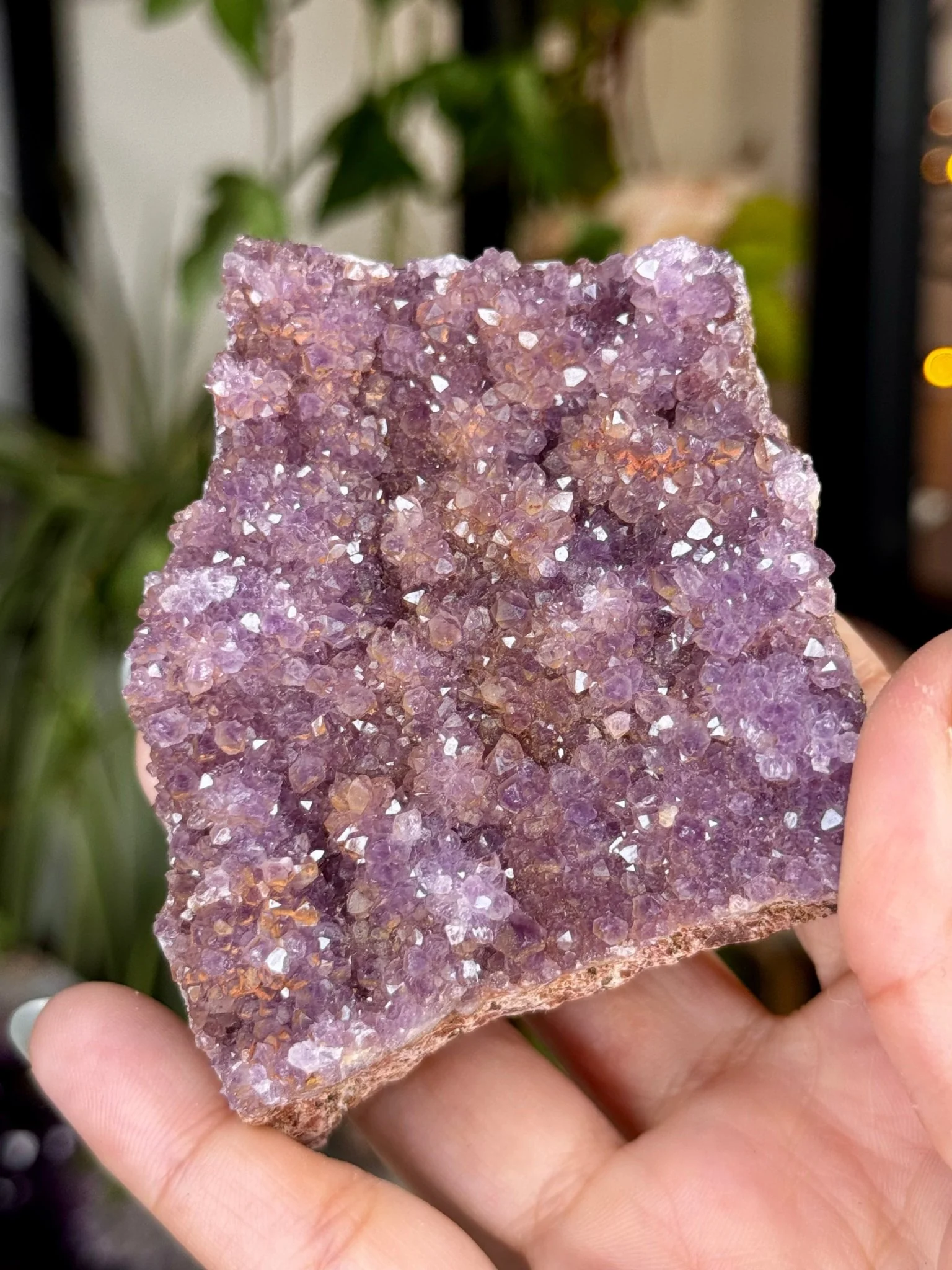 Alacam Amethyst Cluster | 152g