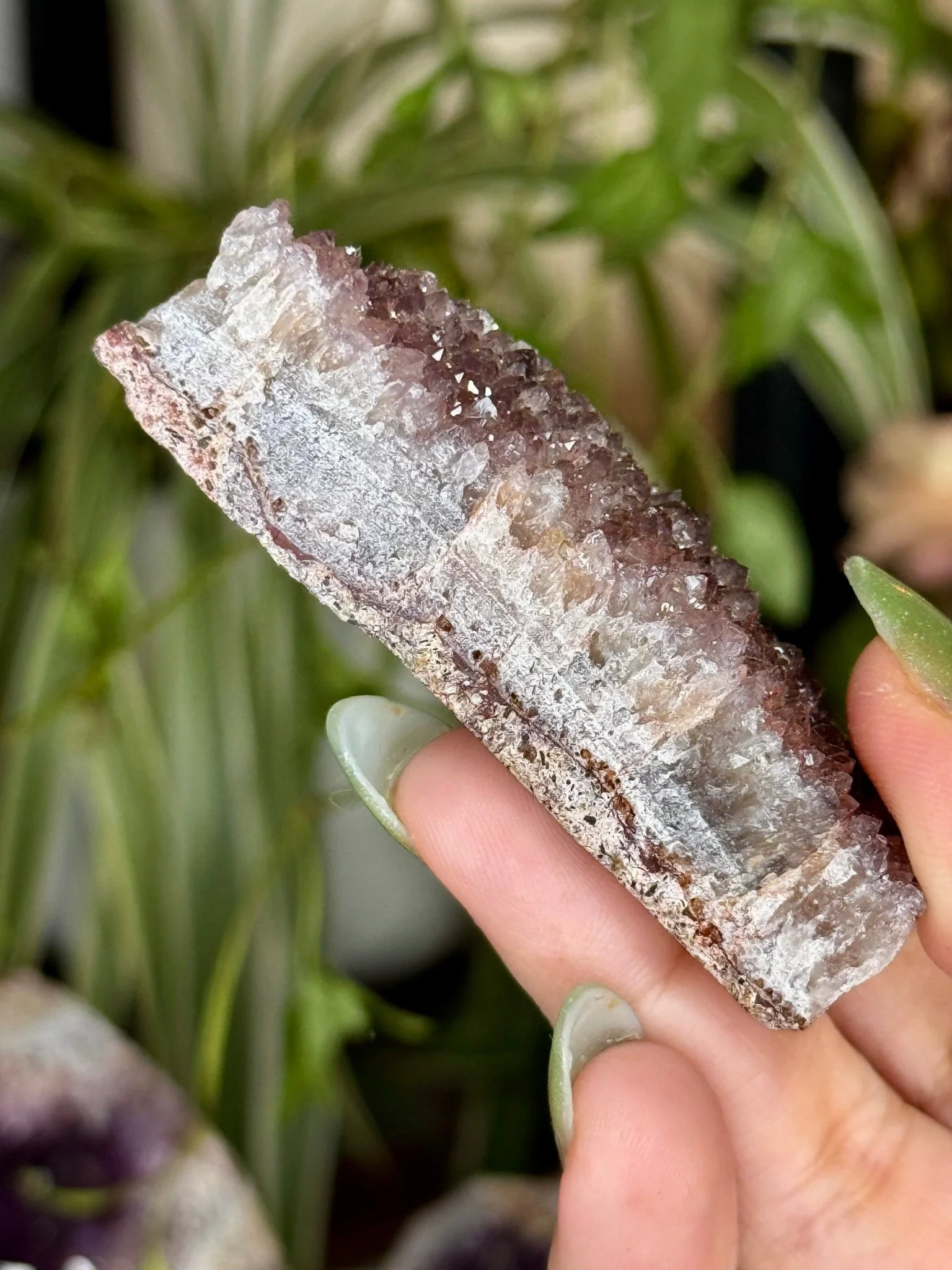 Alacam Amethyst Cluster | 53g