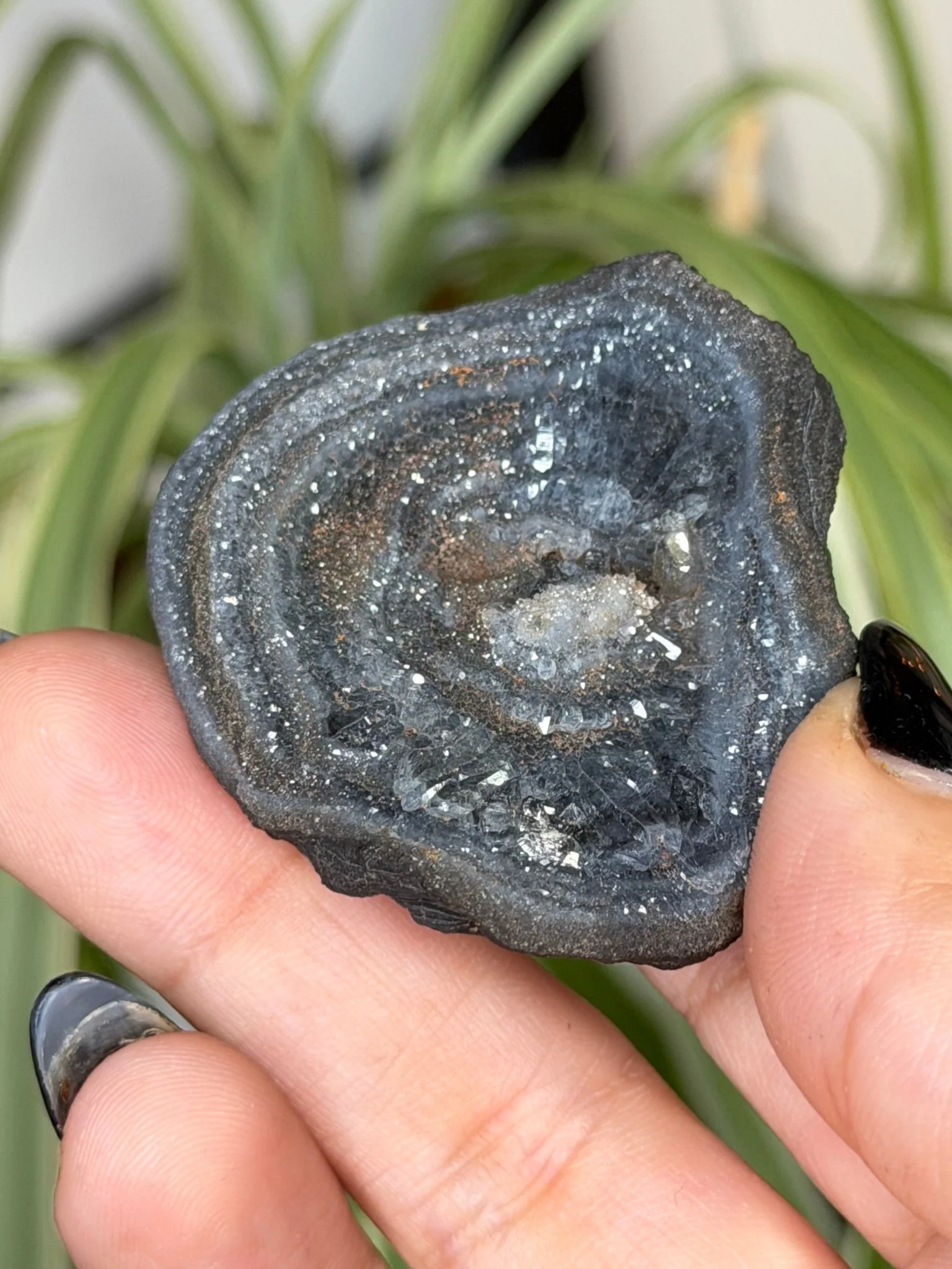 Galaxy Chalcedony | 14g