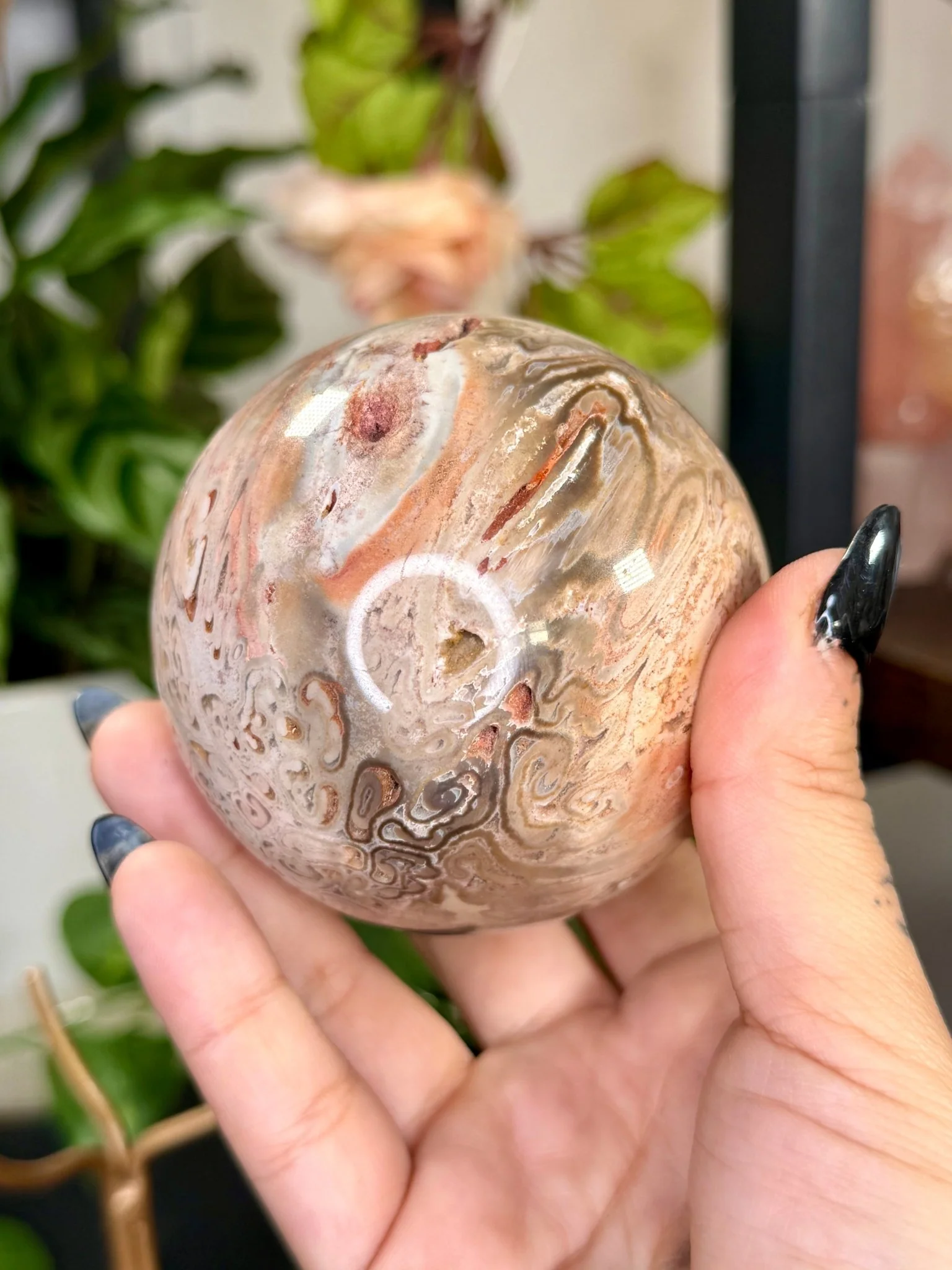 Petrified Wood Sphere | 478g