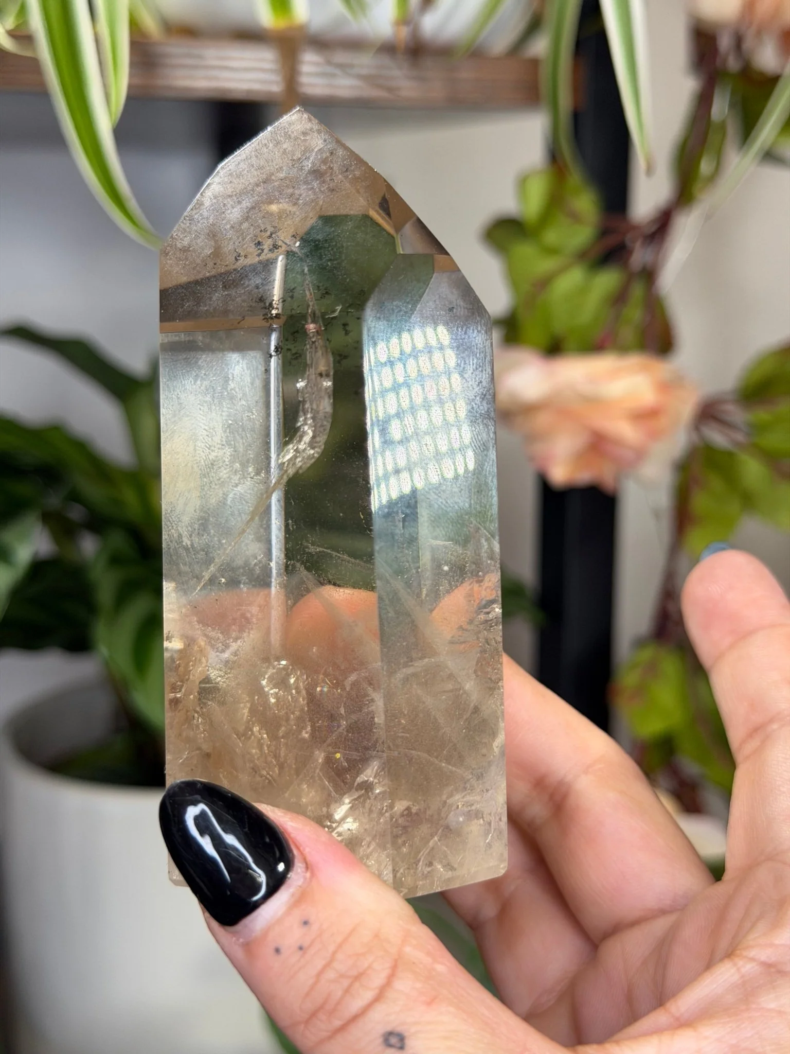 High Quality Natural Brazilian Champagne Citrine with Phanthon | 360g