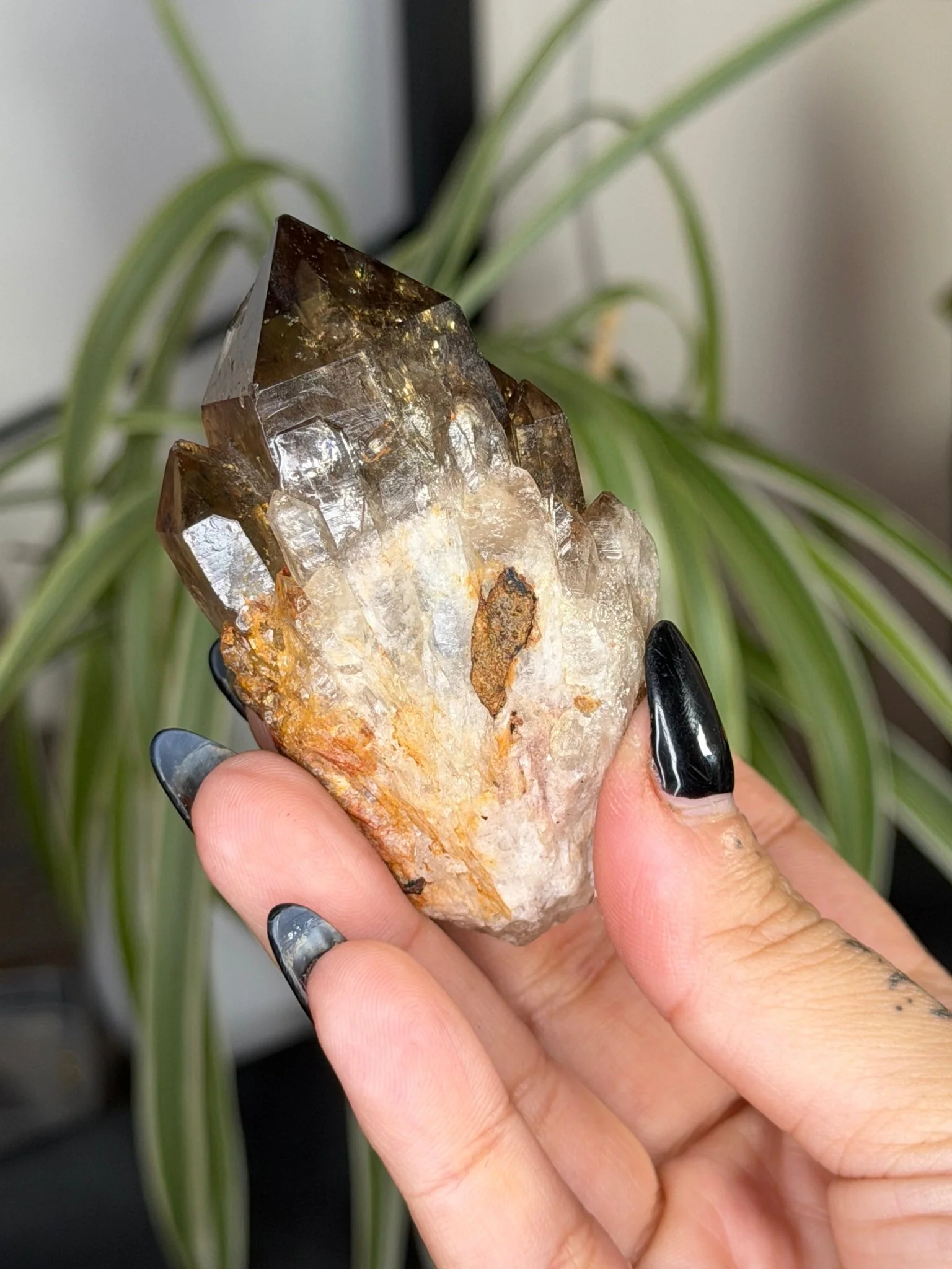 Natural Congo ('Kundalini) Citrine | 86g